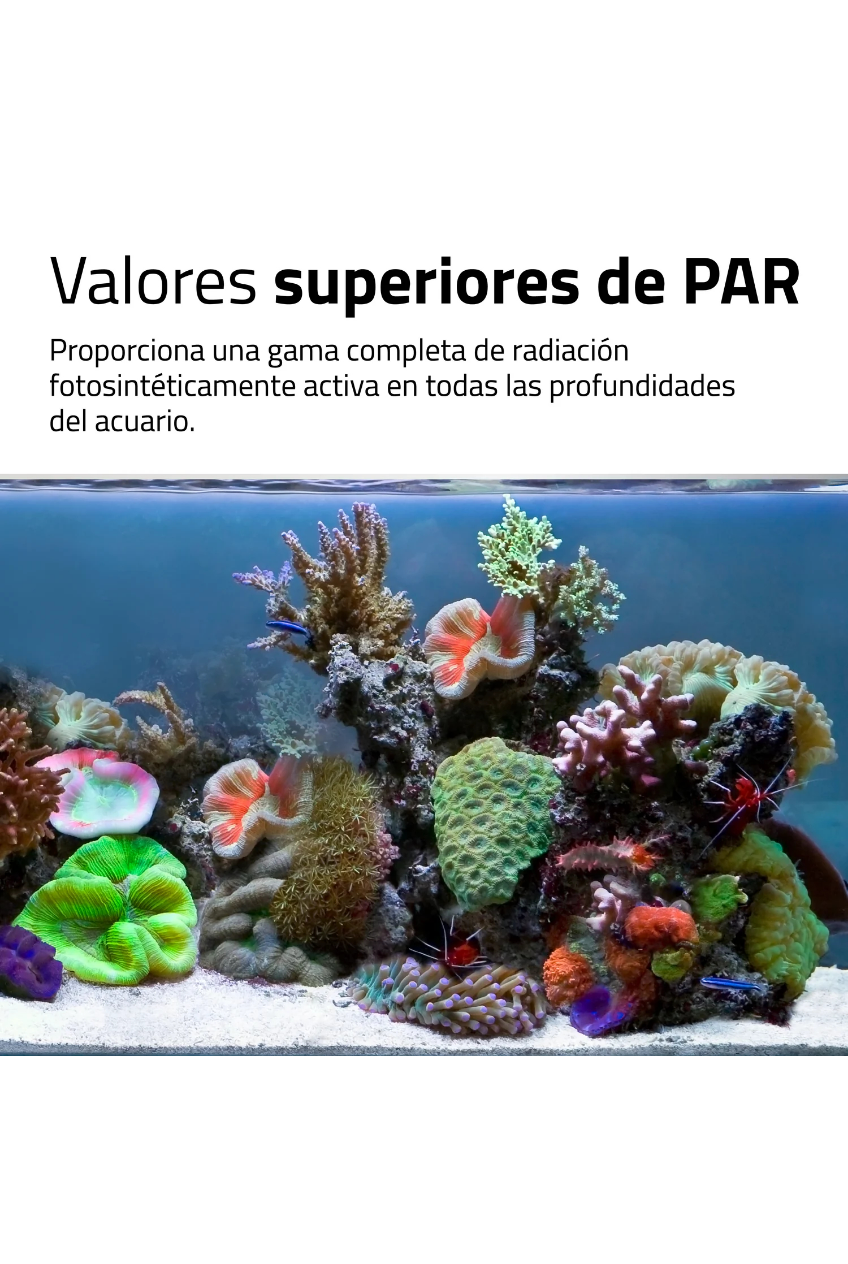 Fluval - Iluminación LED Nano Reef 4.0 de 25W