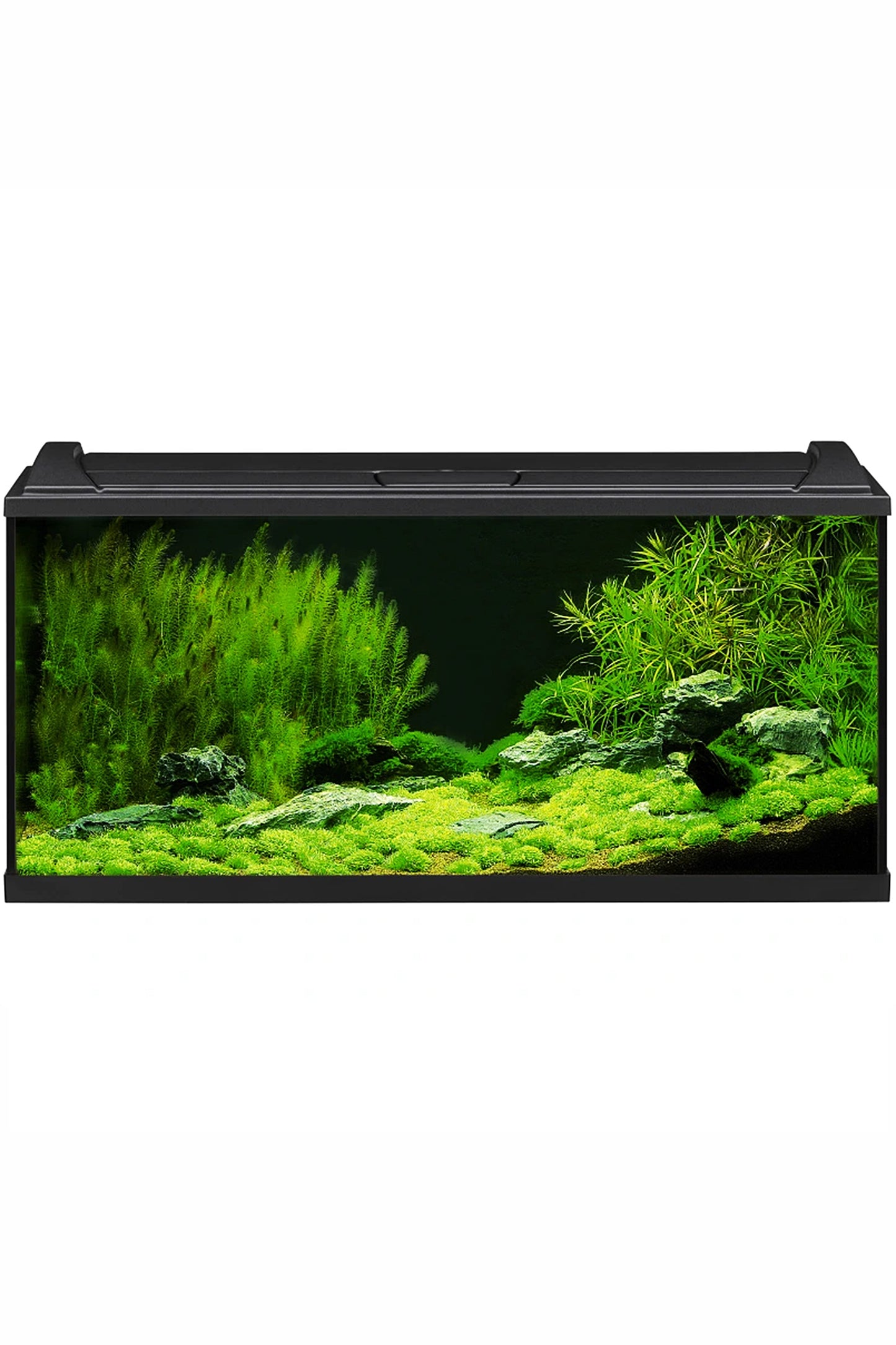 Acuario Kit Completo AquaPRO LED de 180 litros en Negro