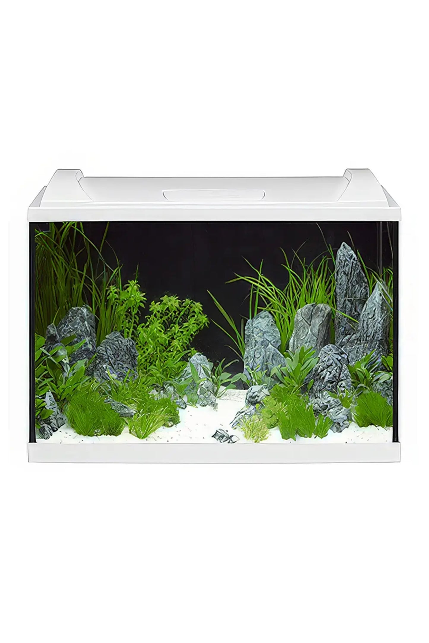 Acuario Kit Completo AquaPRO LED de 84 litros en Blanco