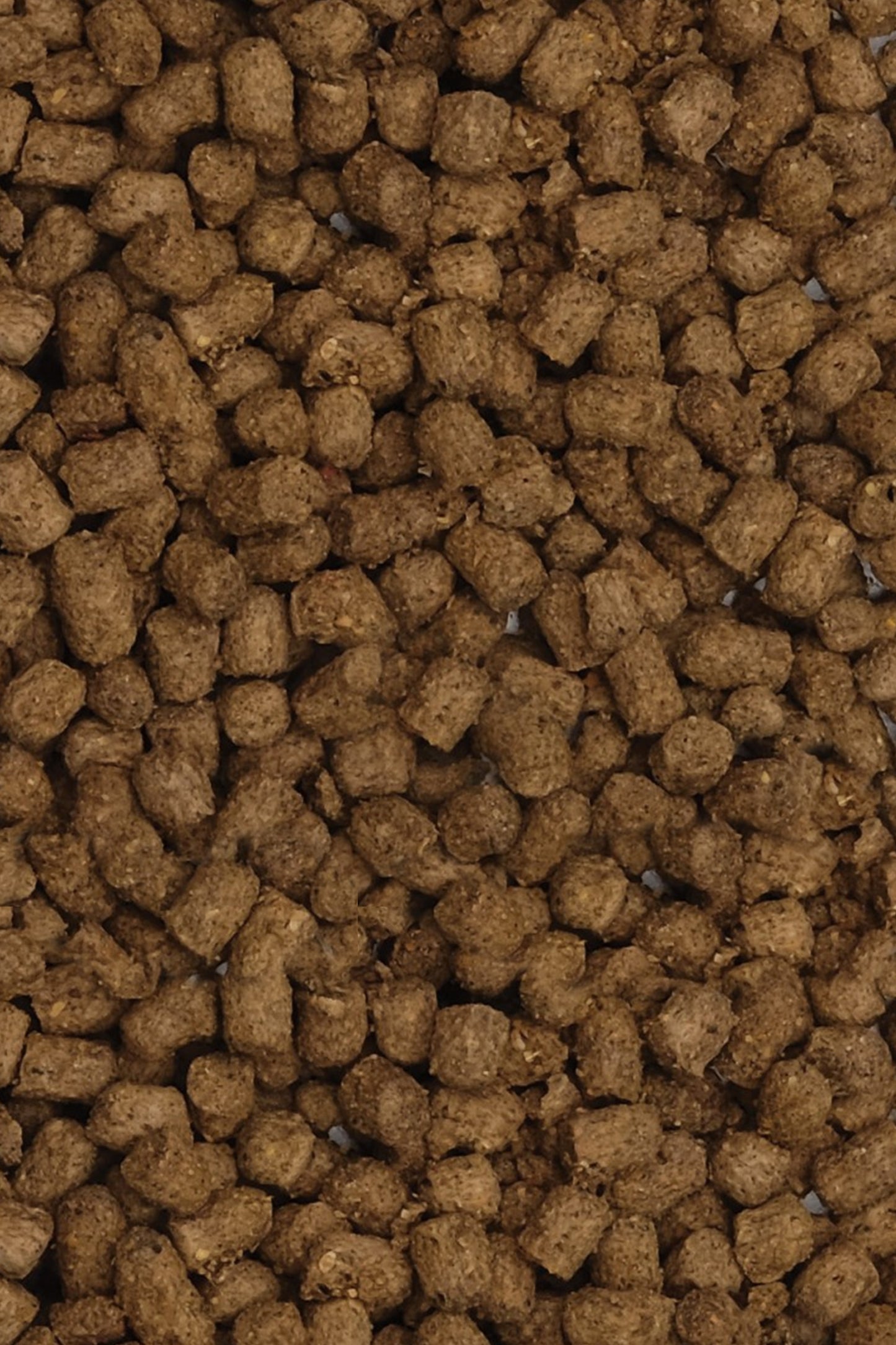Alimento Fluval Bug Bites Cíclidos - Granulado de 45 gramos