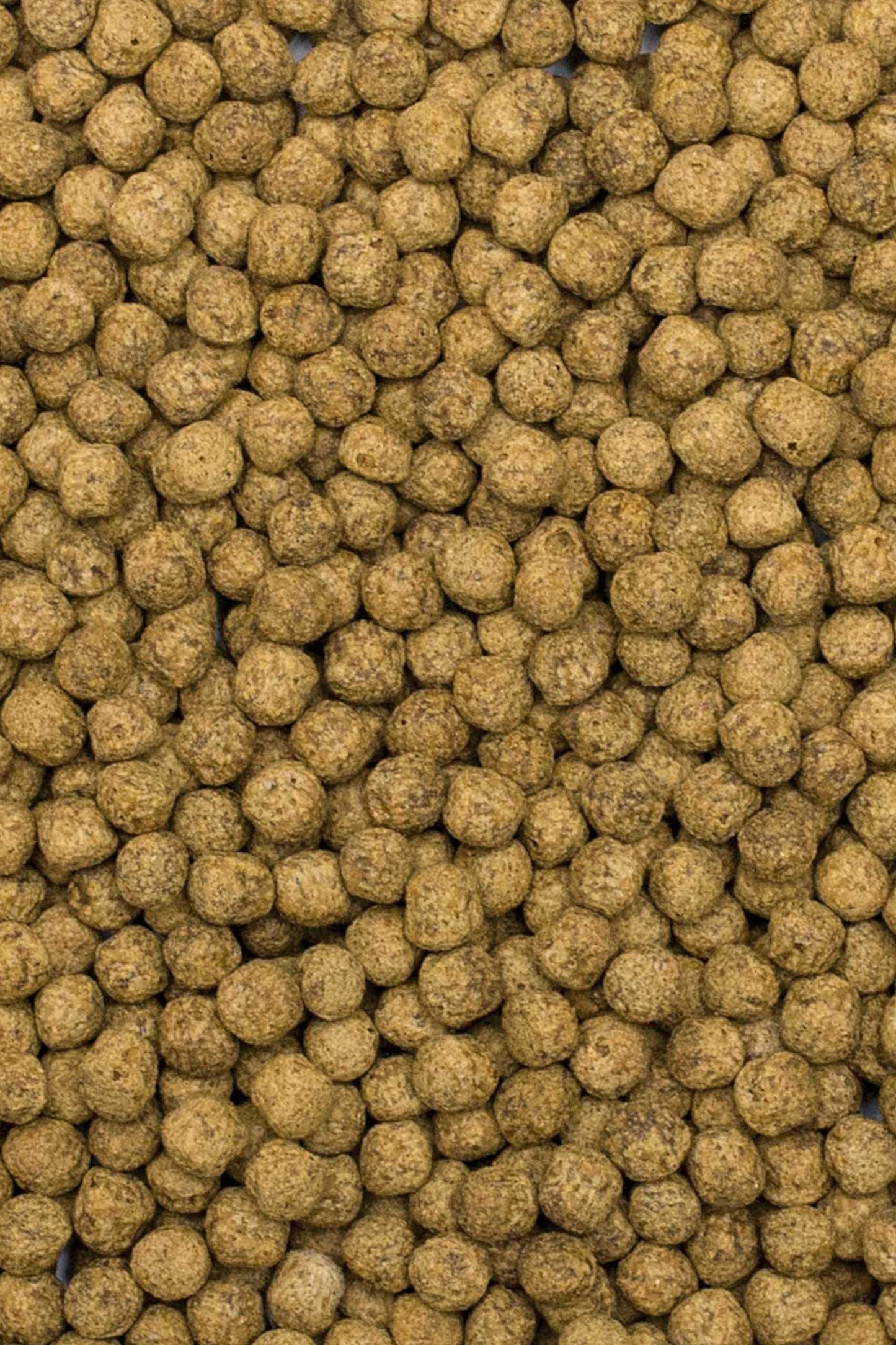 Tropical - Koi Silkworm & Astaxanthin Pellet L 5L/1,5 kg