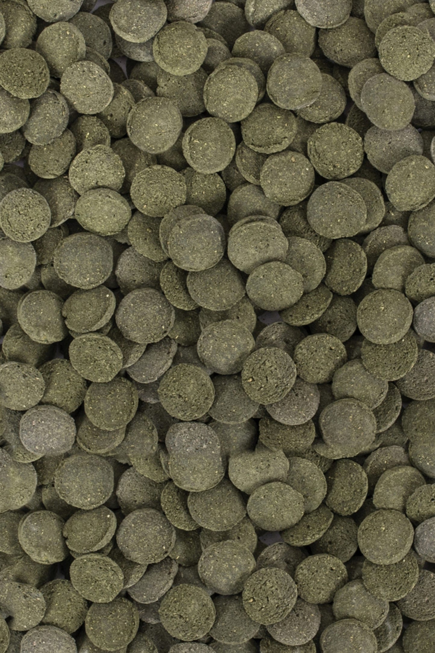 Tropical - Hi-Algae Discs 100 ml.