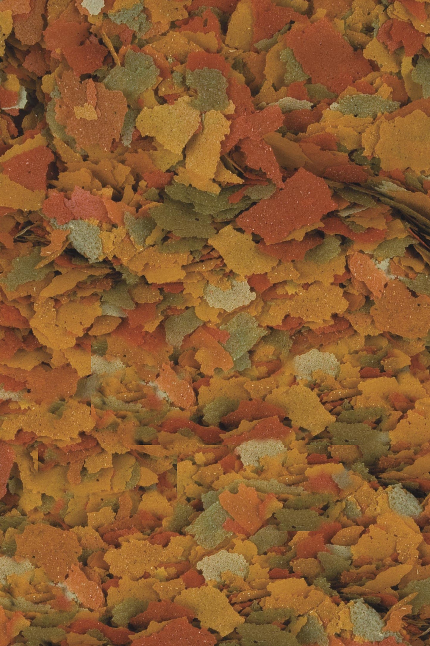 Tropical - Goldfish Color 21 L