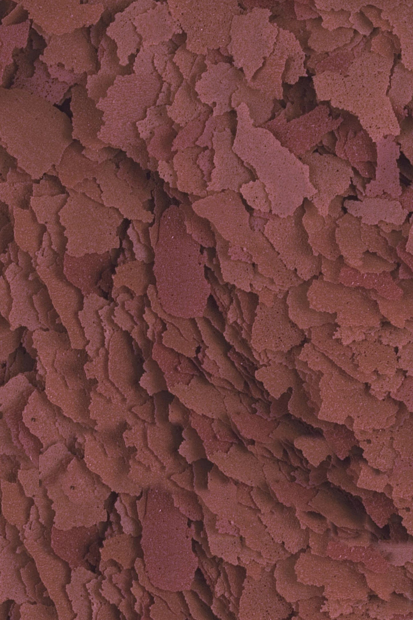 Tropical - D-Allio Plus 5 L