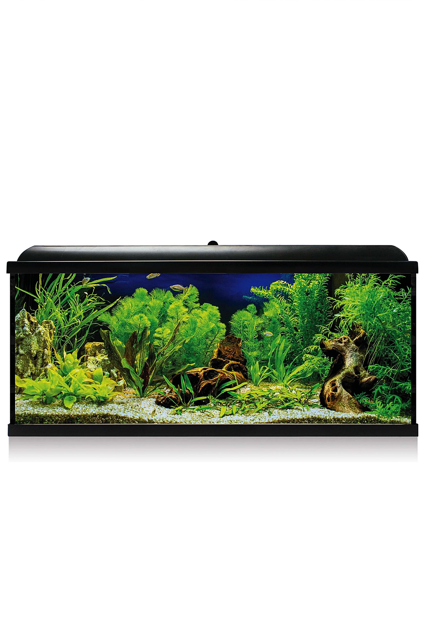 AquaLED PRO 130 - Acuario de 130 litros en Negro