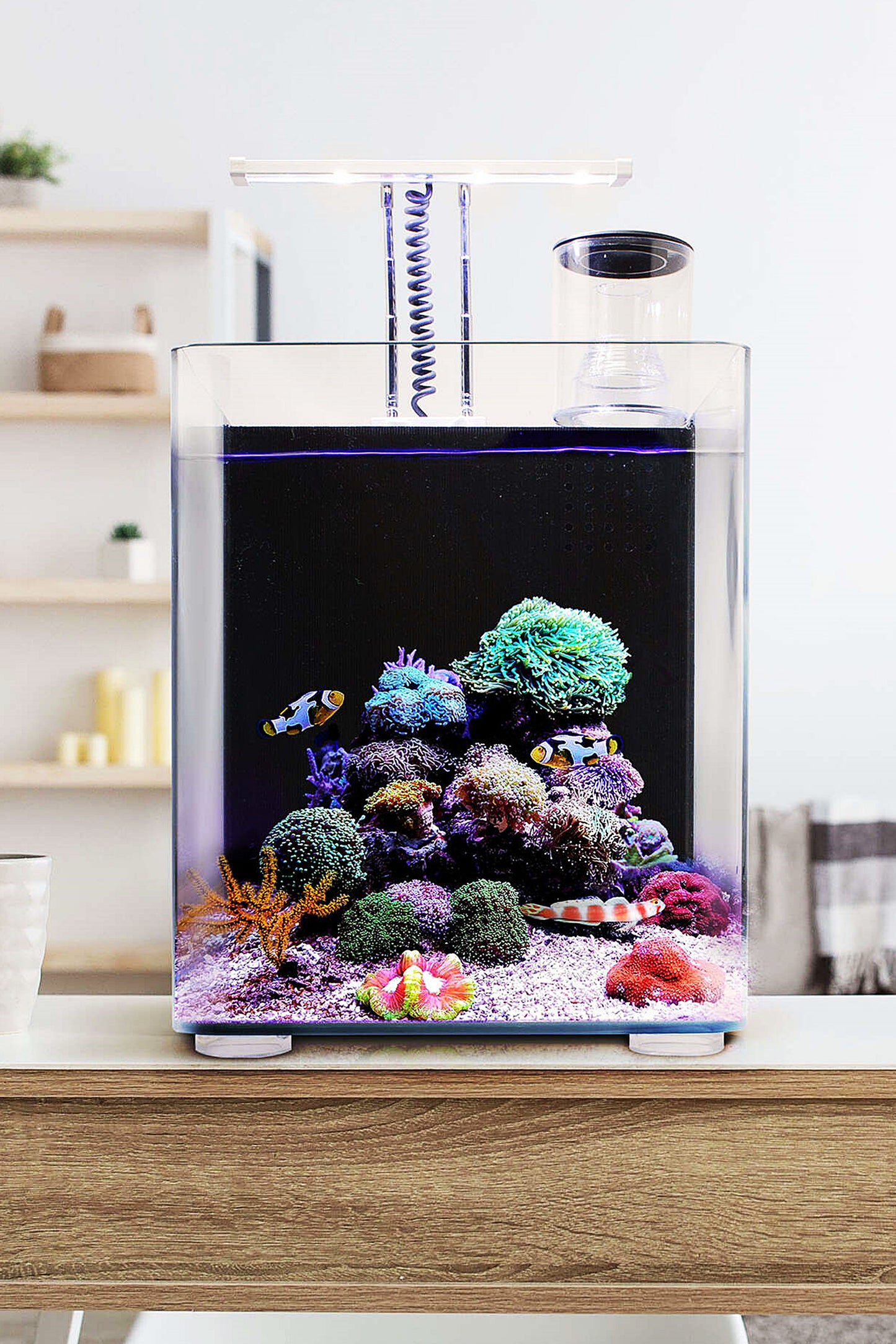 Nano Acuario Marino OceanFree (34 litros)