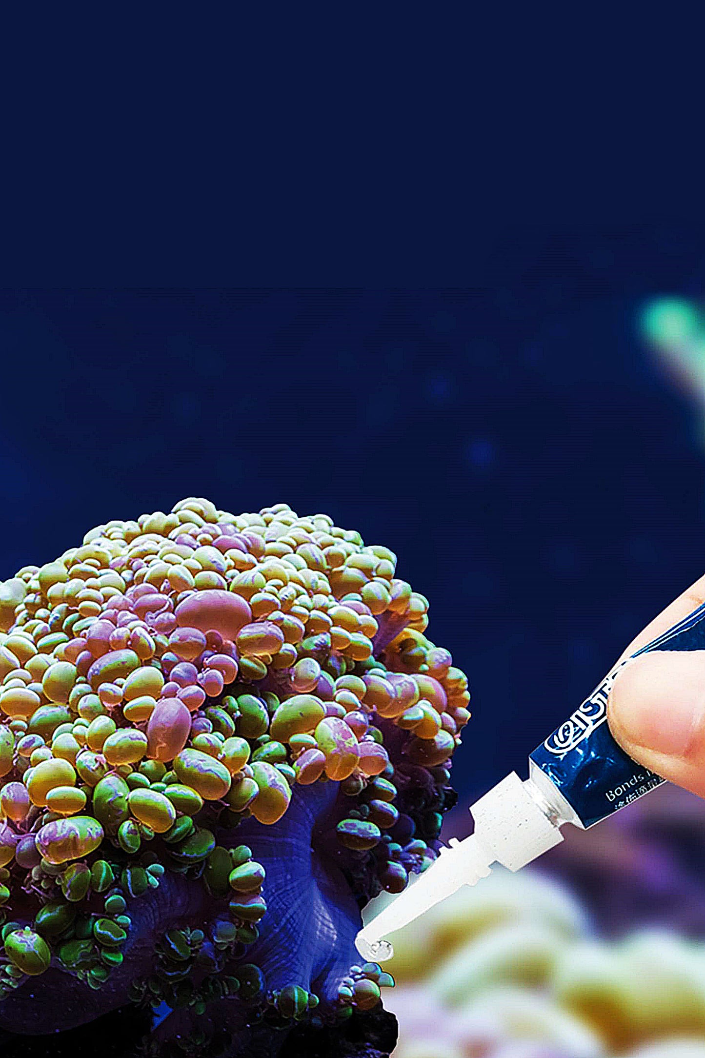 Adhesivo para marino