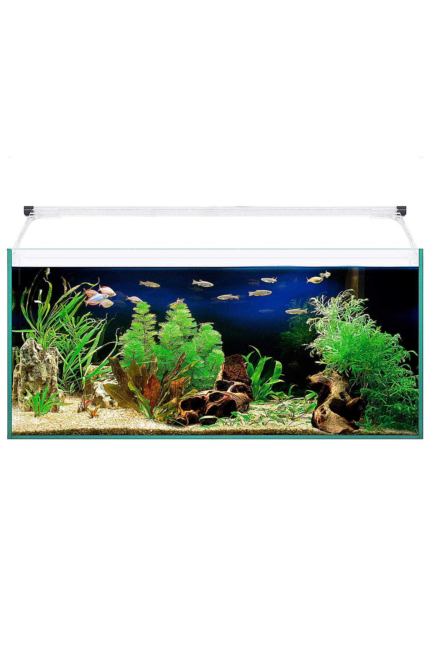 Acuario Kit AquaLight Glass 80 de 76 litros