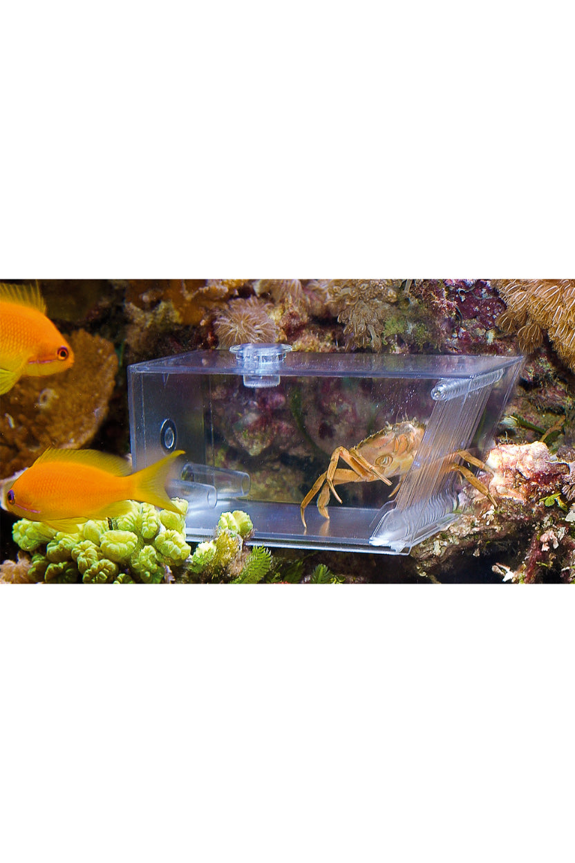 AquaMedic - Trap Pest - 501.81