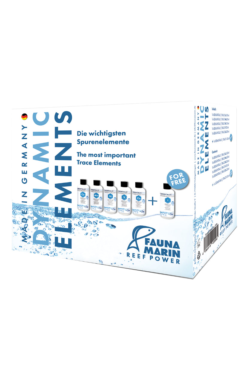 Fauna Marin - Dynamic Elemements