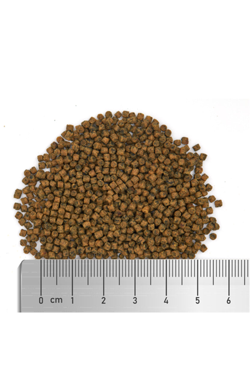 Fauna Marin - Marine Soft Spirulina M de 60 gr.