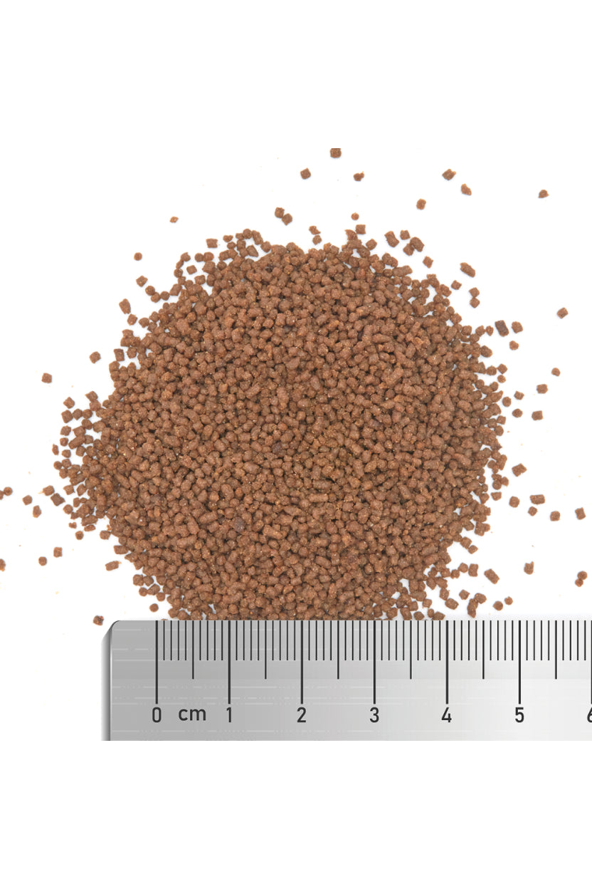 Fauna Marin - Ultra LPS Grow & Color "M" 145 gr.