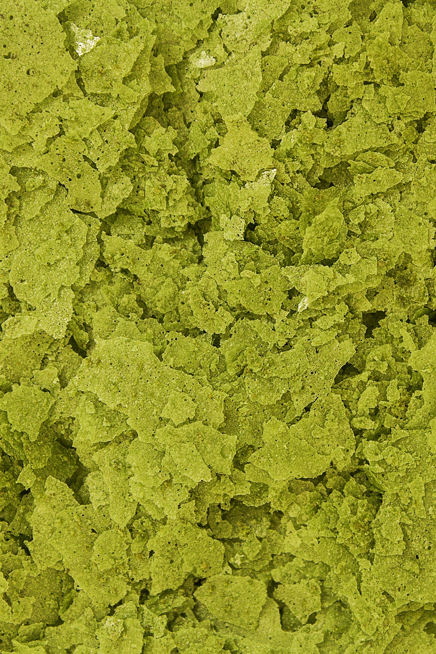 Ocean Nutrition - Escamas Spirulina 71 gr.