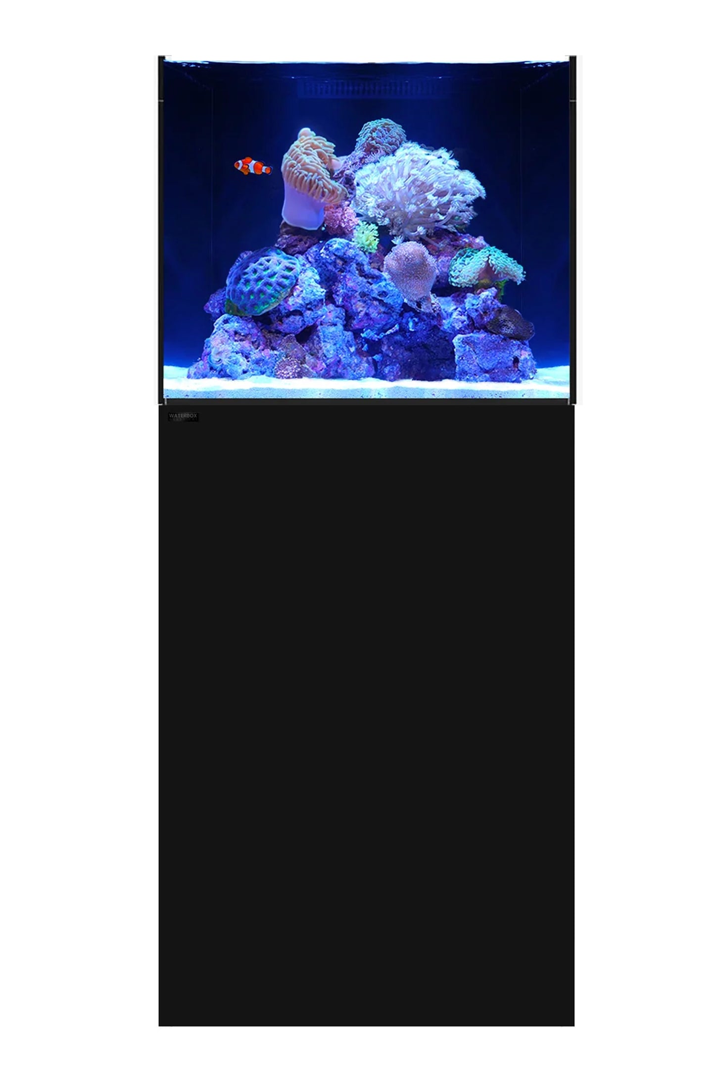 WATERBOX - Acuario MARINE-X 60.2 con mueble Negra - 136 litros