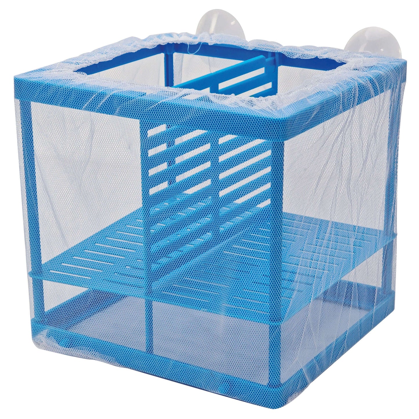 Paridera de malla fina