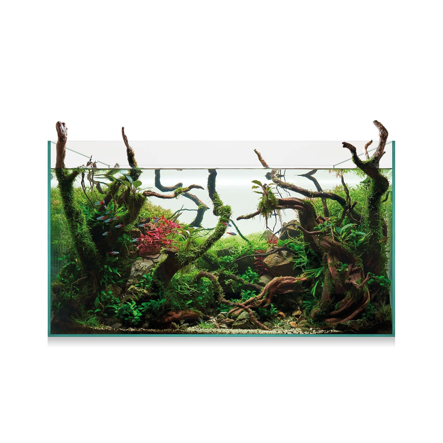 Kit AquaScape 145 de 143 litros
