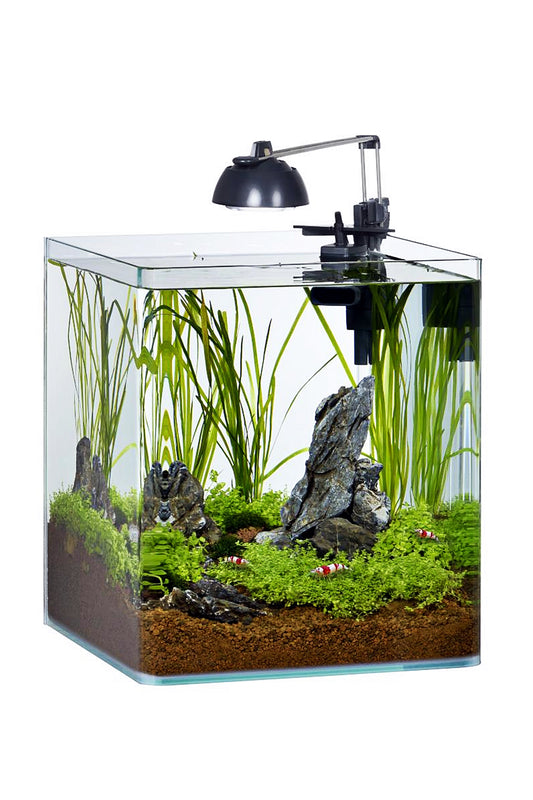 EHEIM - Nano Shrimp 35 LC/Filter + LED + 1000220