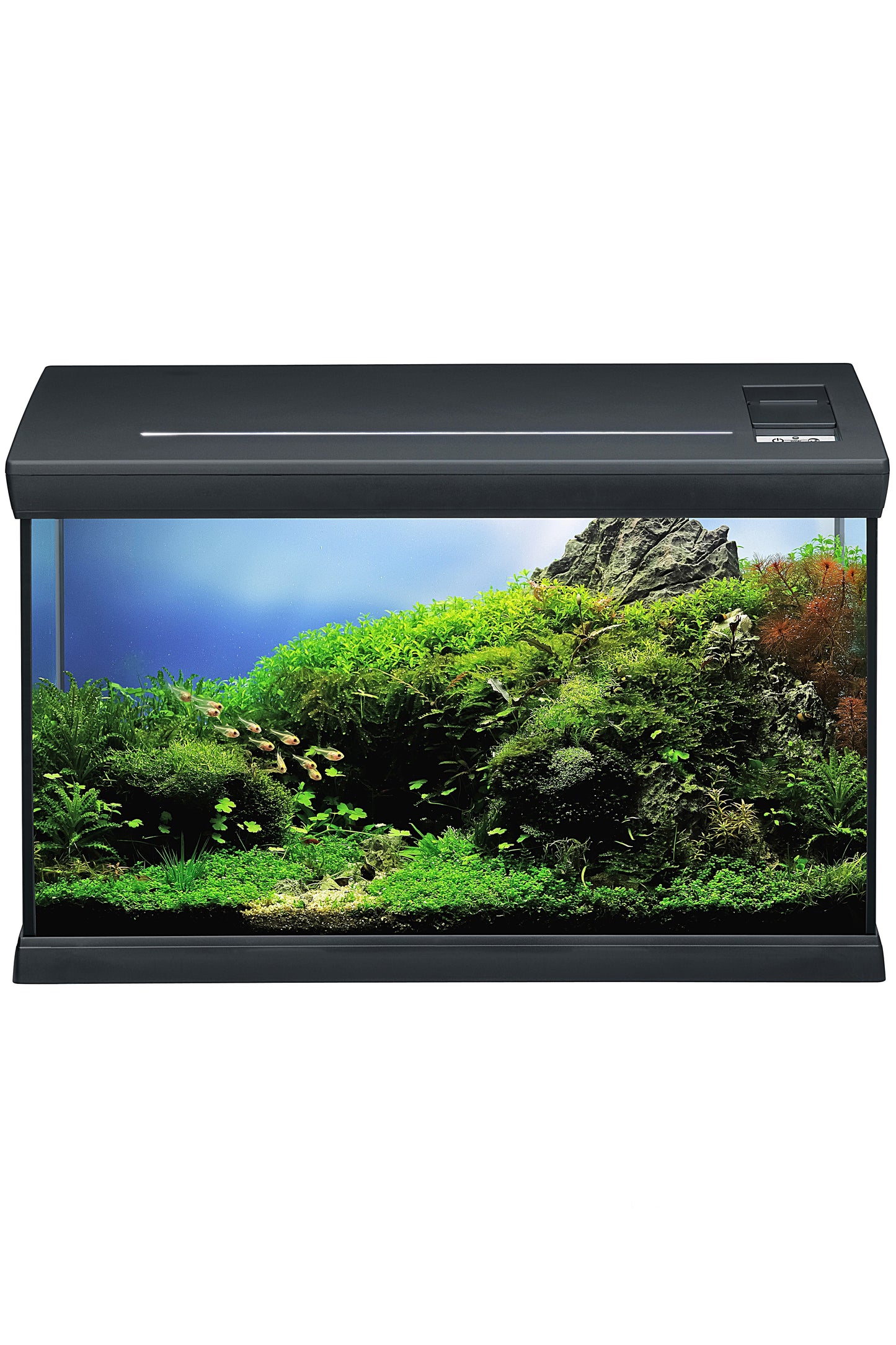 EHEIM - Kit Eheim Aquaclass 66 (Anthrazit)