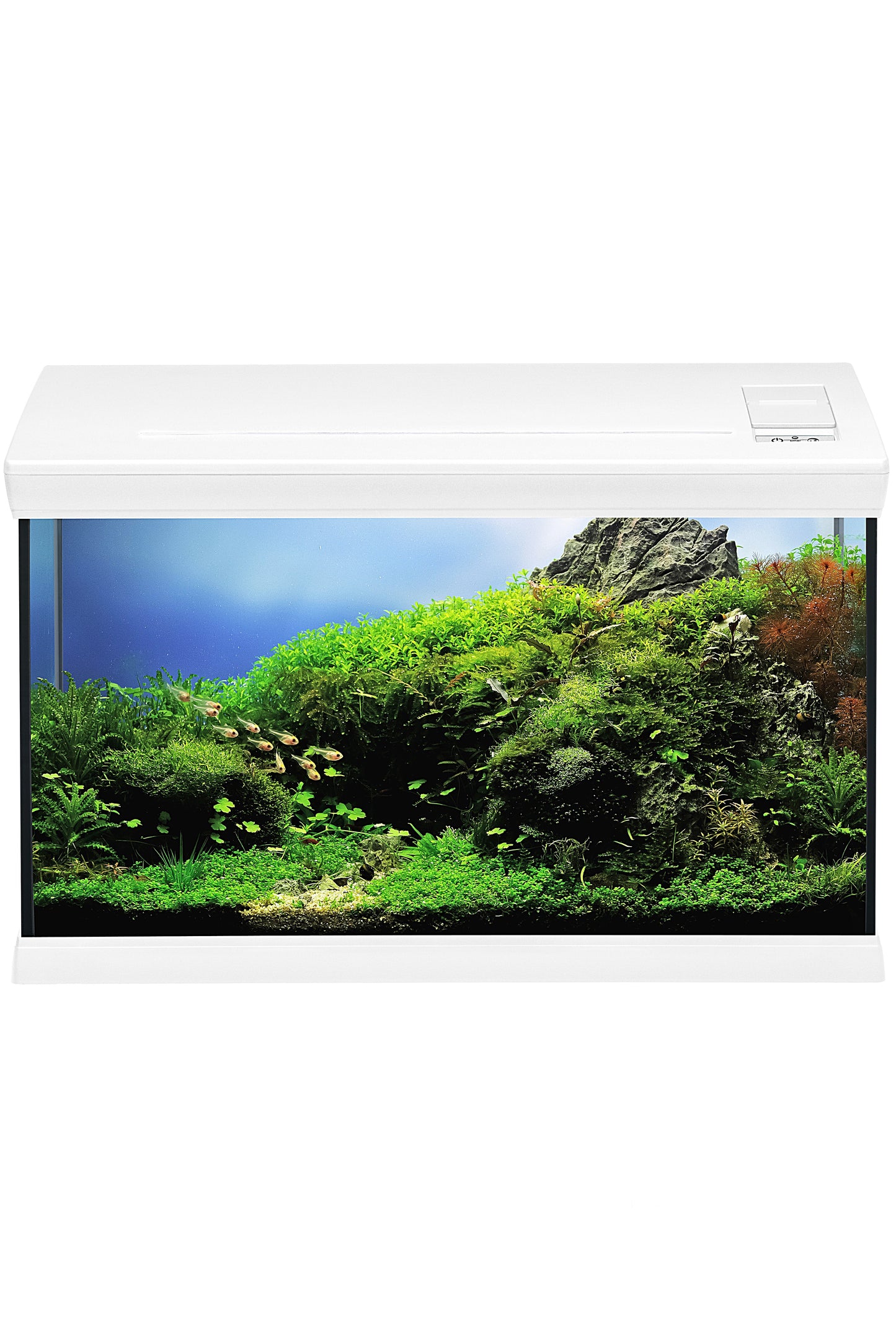 Acuario Kit AquaCLASS 66 litros en Blanco