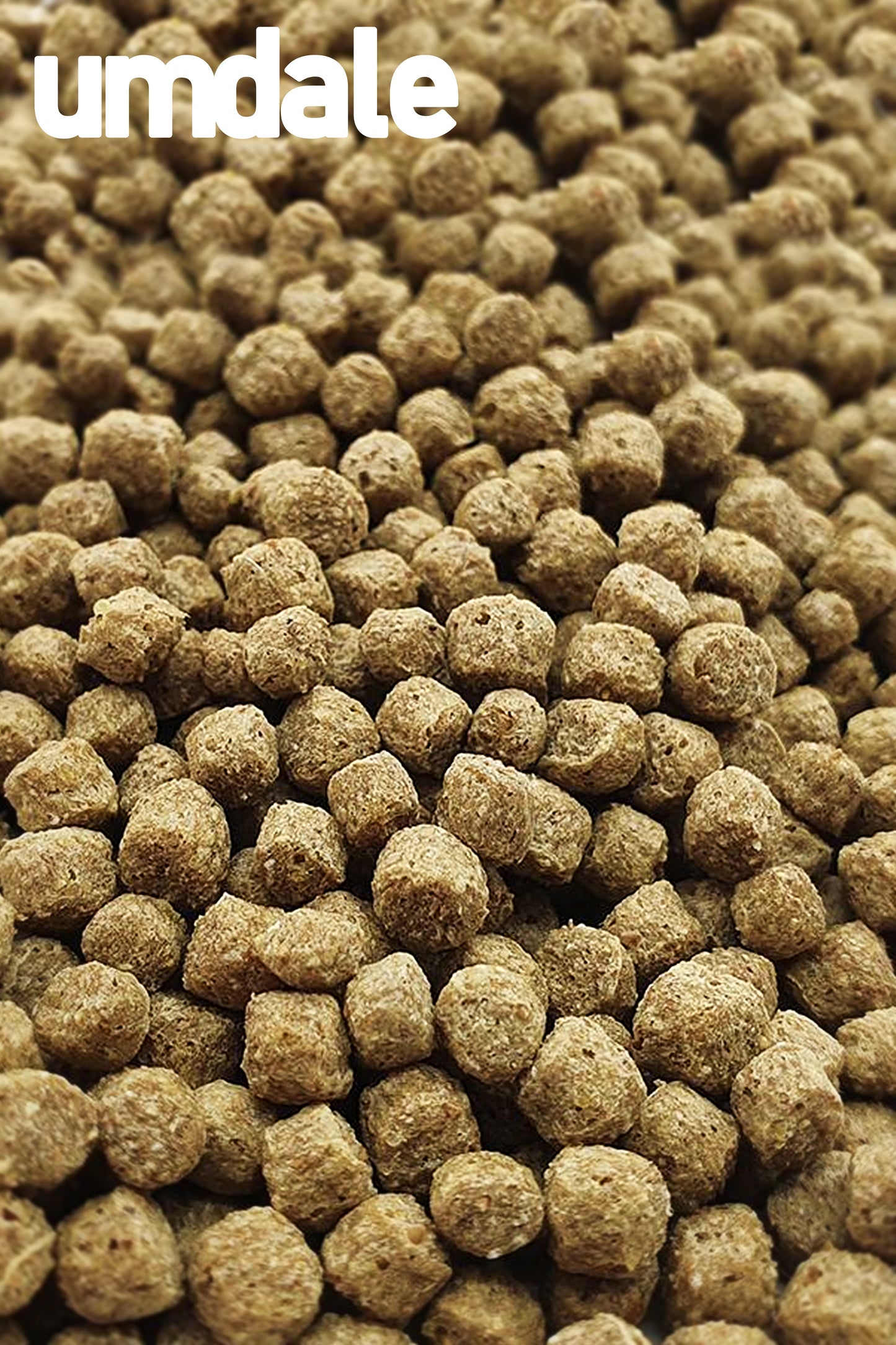 Fluval – Kaltwasserpellets von Bug Bites, 100 g