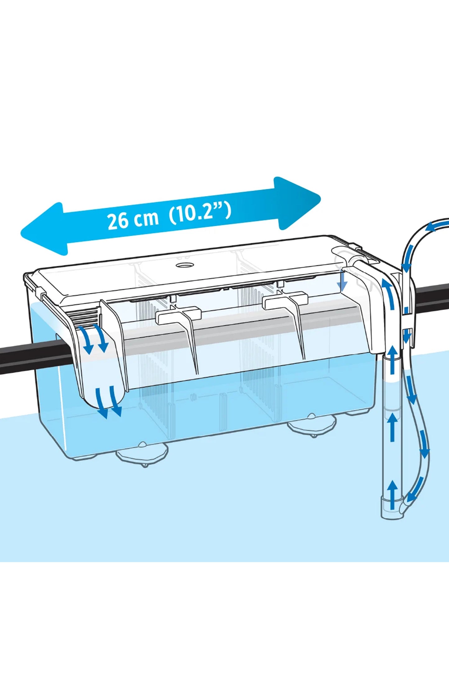 Fluval - Caixa de Criação L, 2L