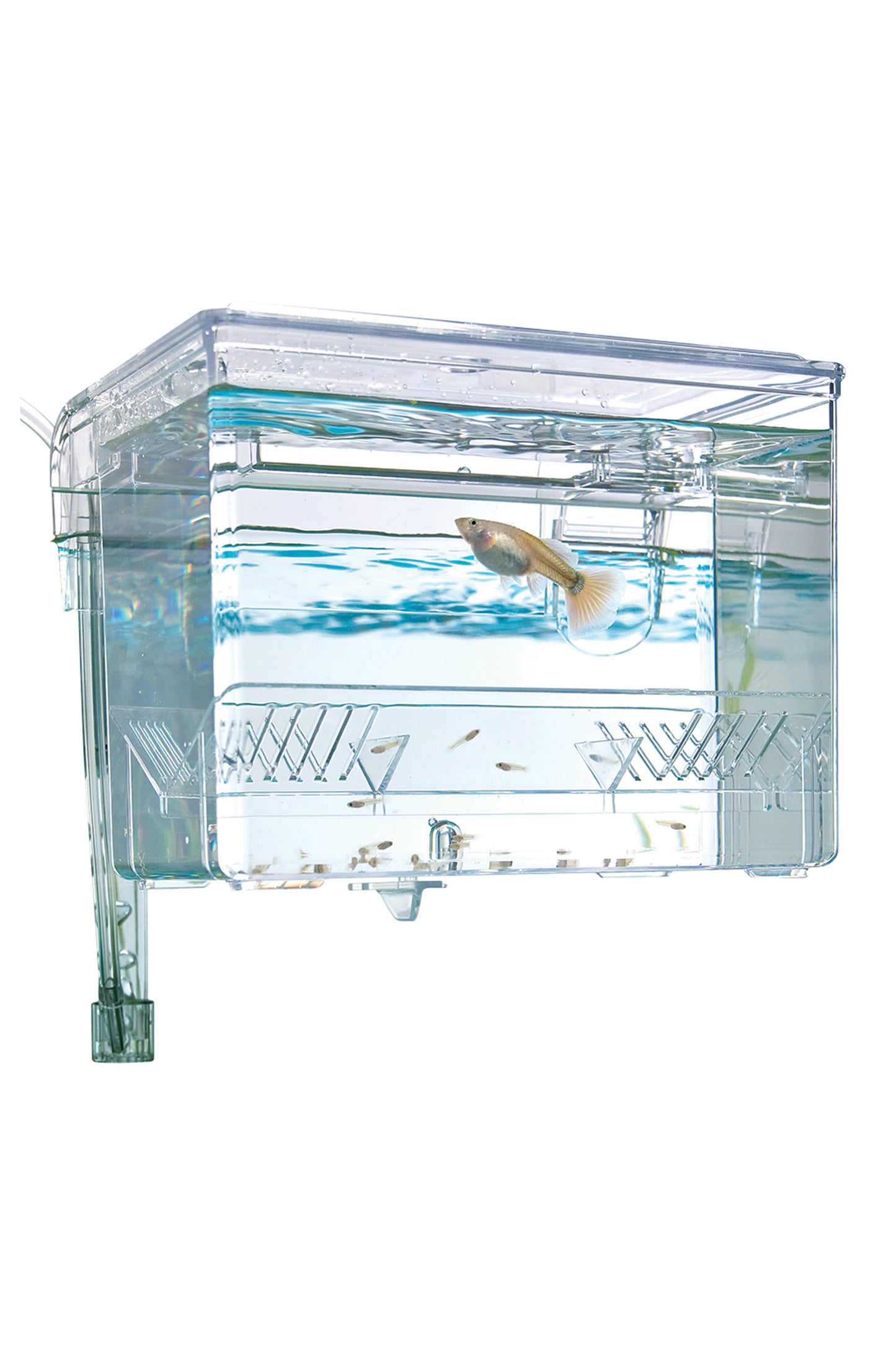 Fluval - Breeding Box M - 1,1 L