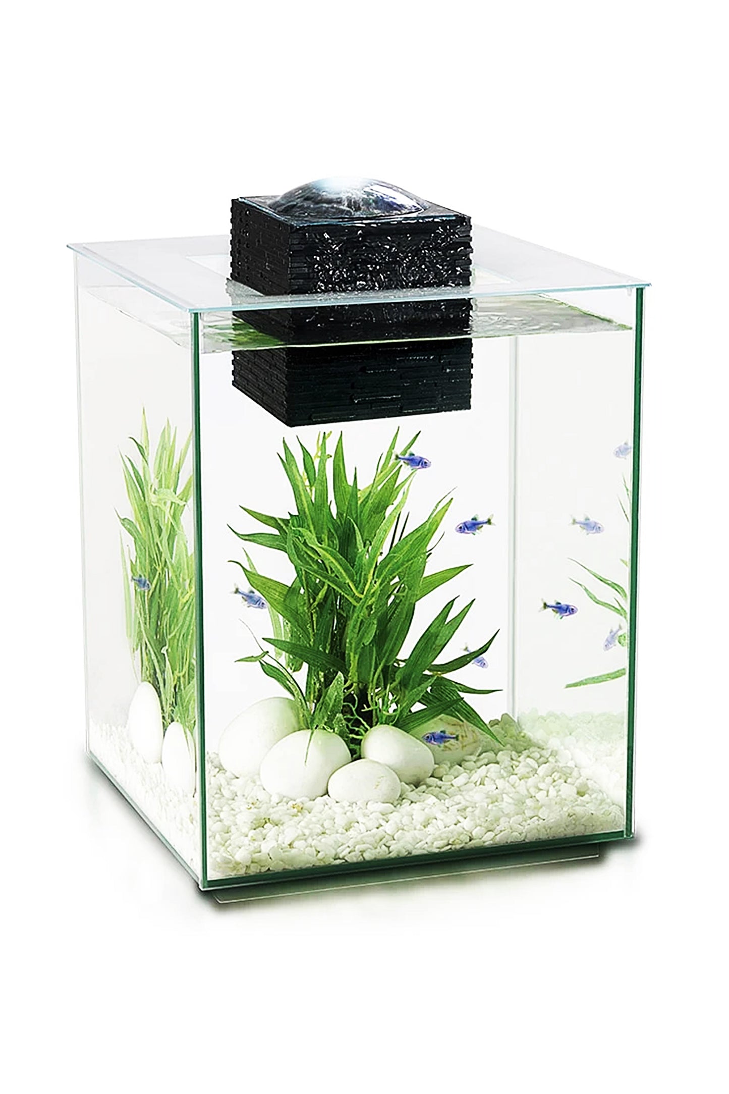 Nano Acuario FLUVAL CHI LI de 19 litros