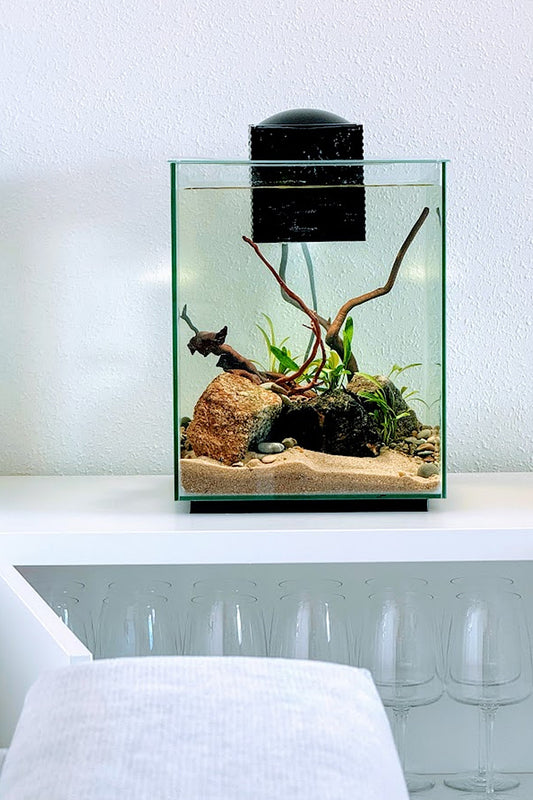 Nano Acuario FLUVAL CHI LI de 19 litros