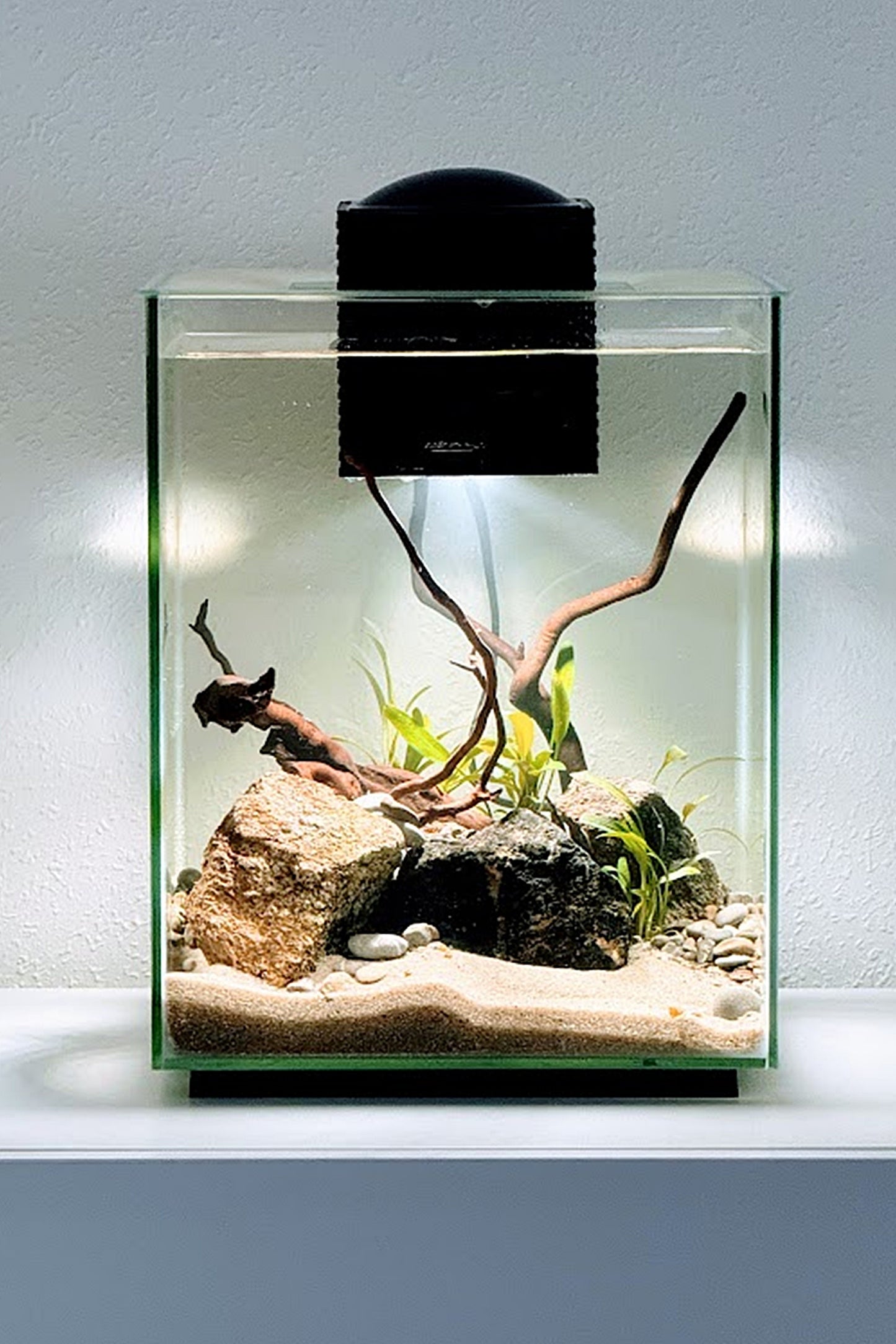 Nano Acuario FLUVAL CHI LI de 19 litros