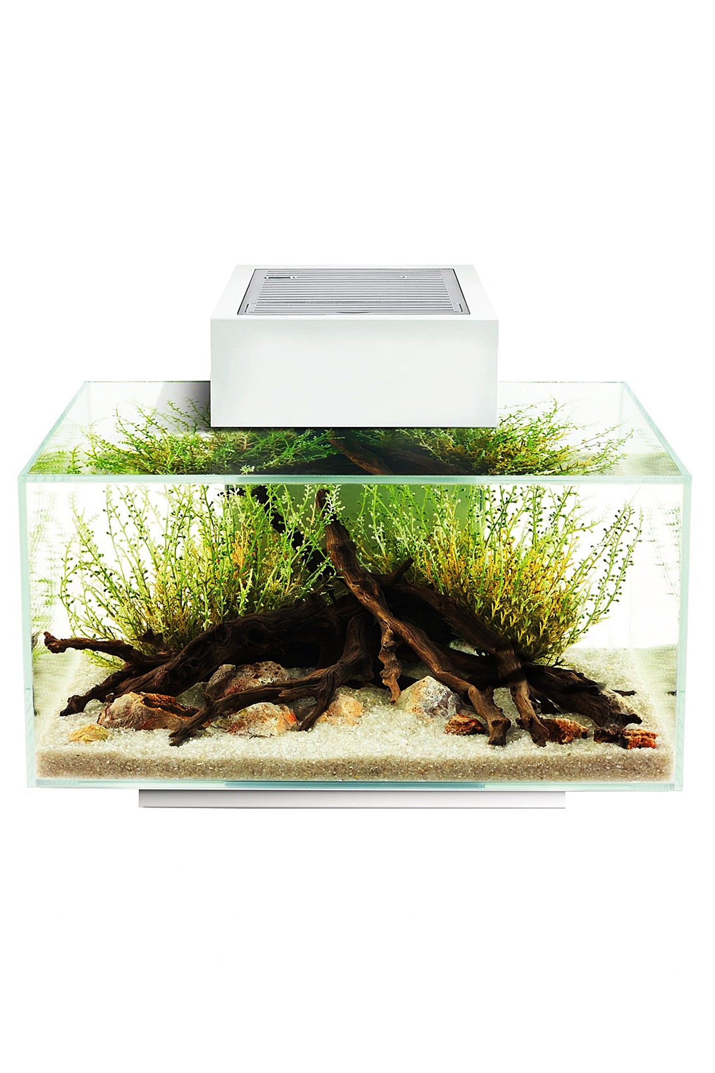 Fluval - Aquário Edge Led 2.0 Nano Branco - 23L