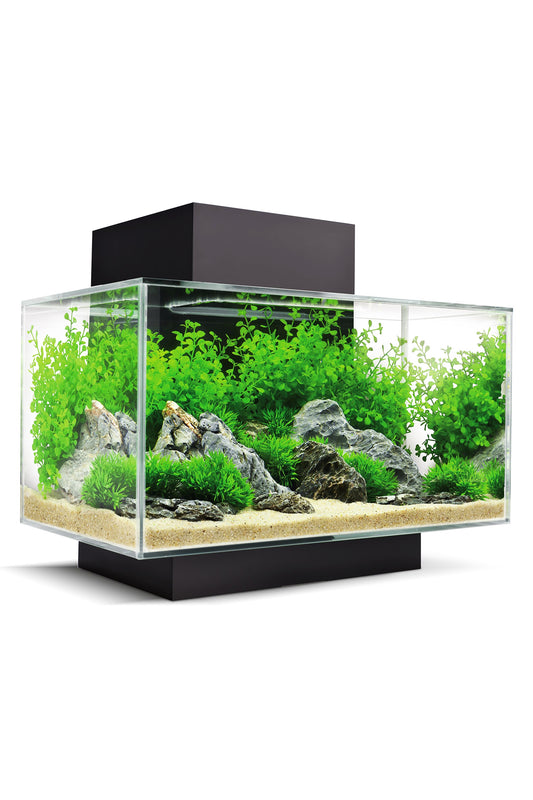 Fluval - Edge Led 2.0 Nano Aquarium Schwarz - 23L