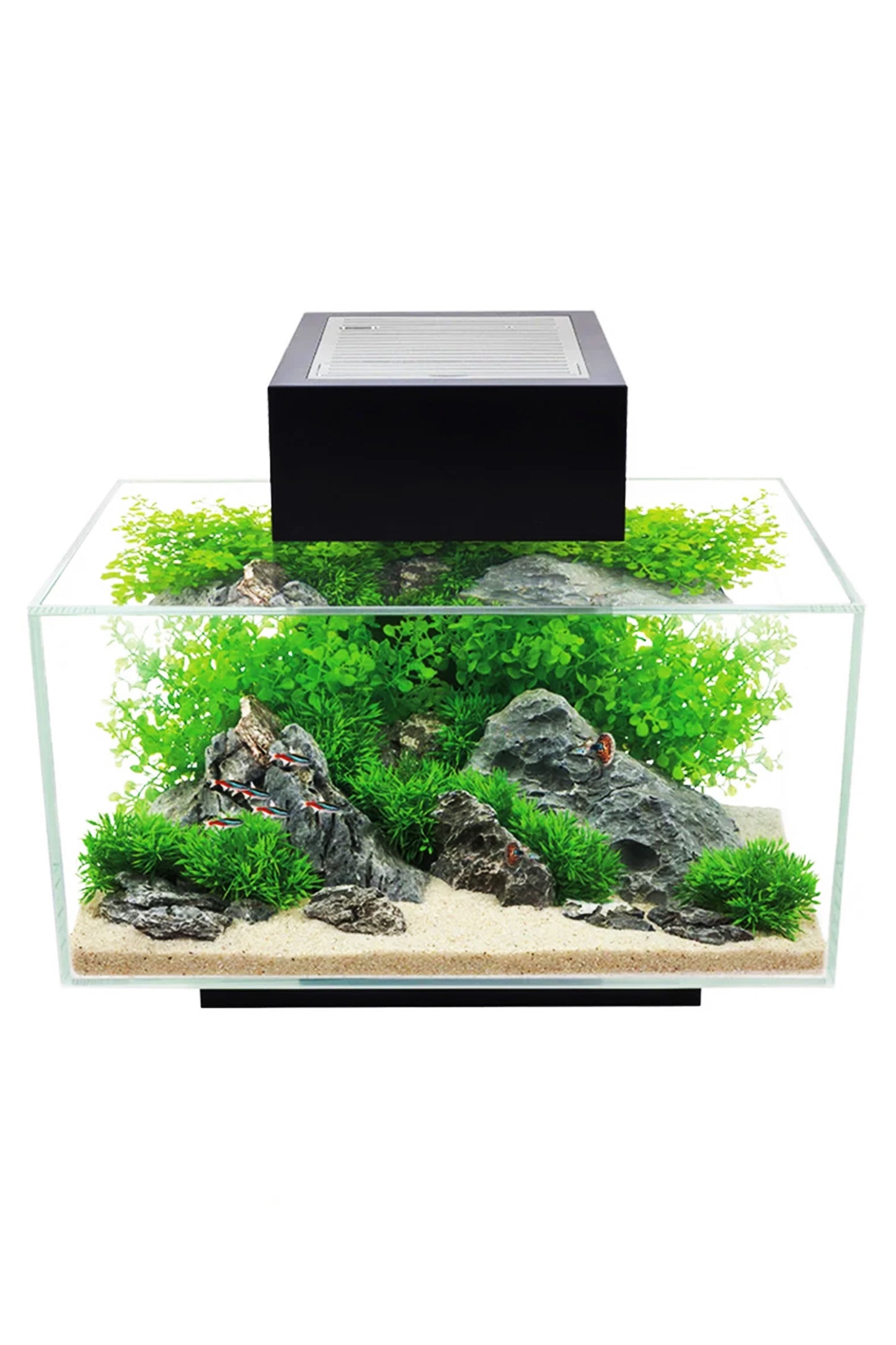 Fluval - Edge Led 2.0 Nano Aquarium Schwarz - 23L