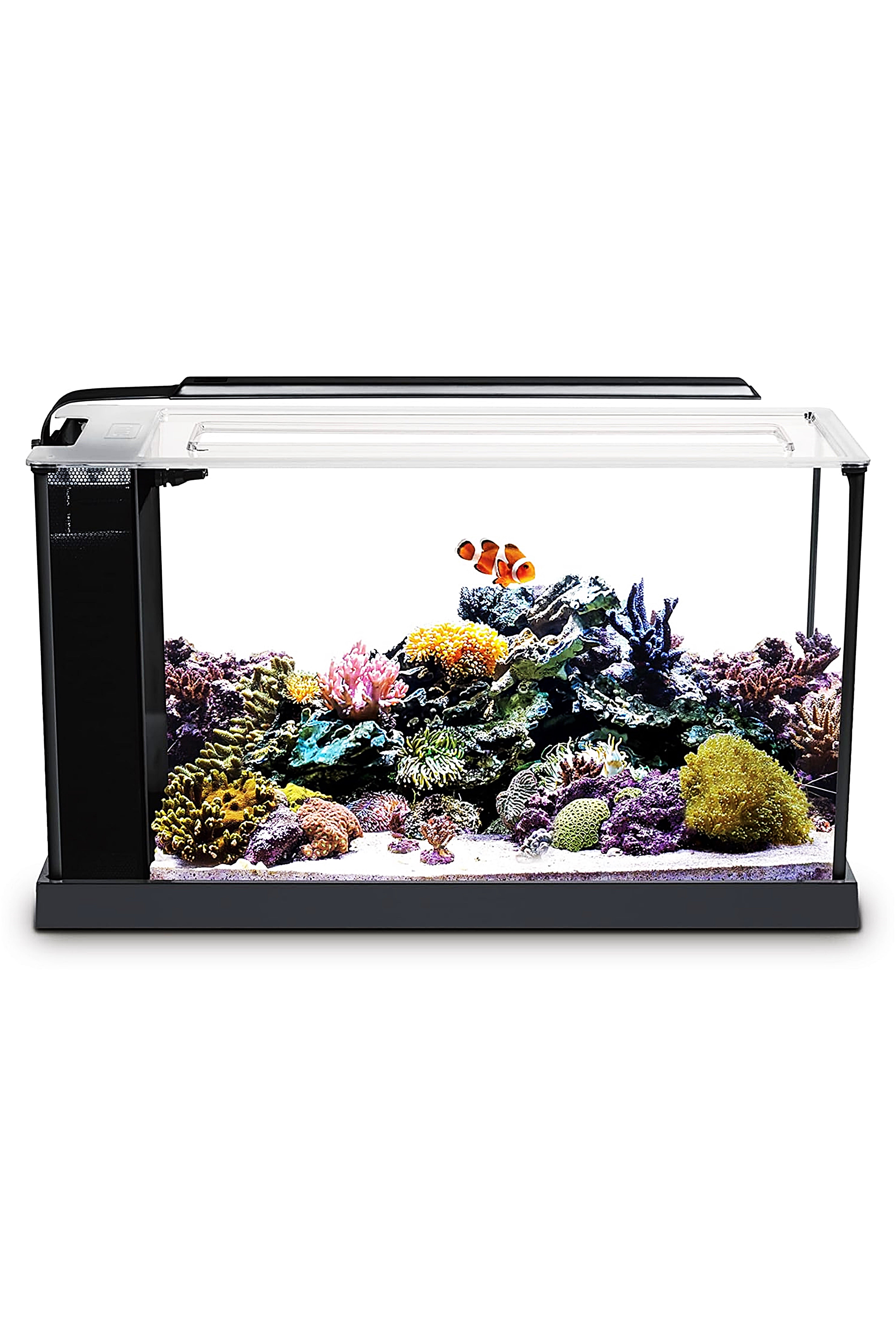 Fluval - Evo Black Marine Aquarium 19 Liter – Umdale