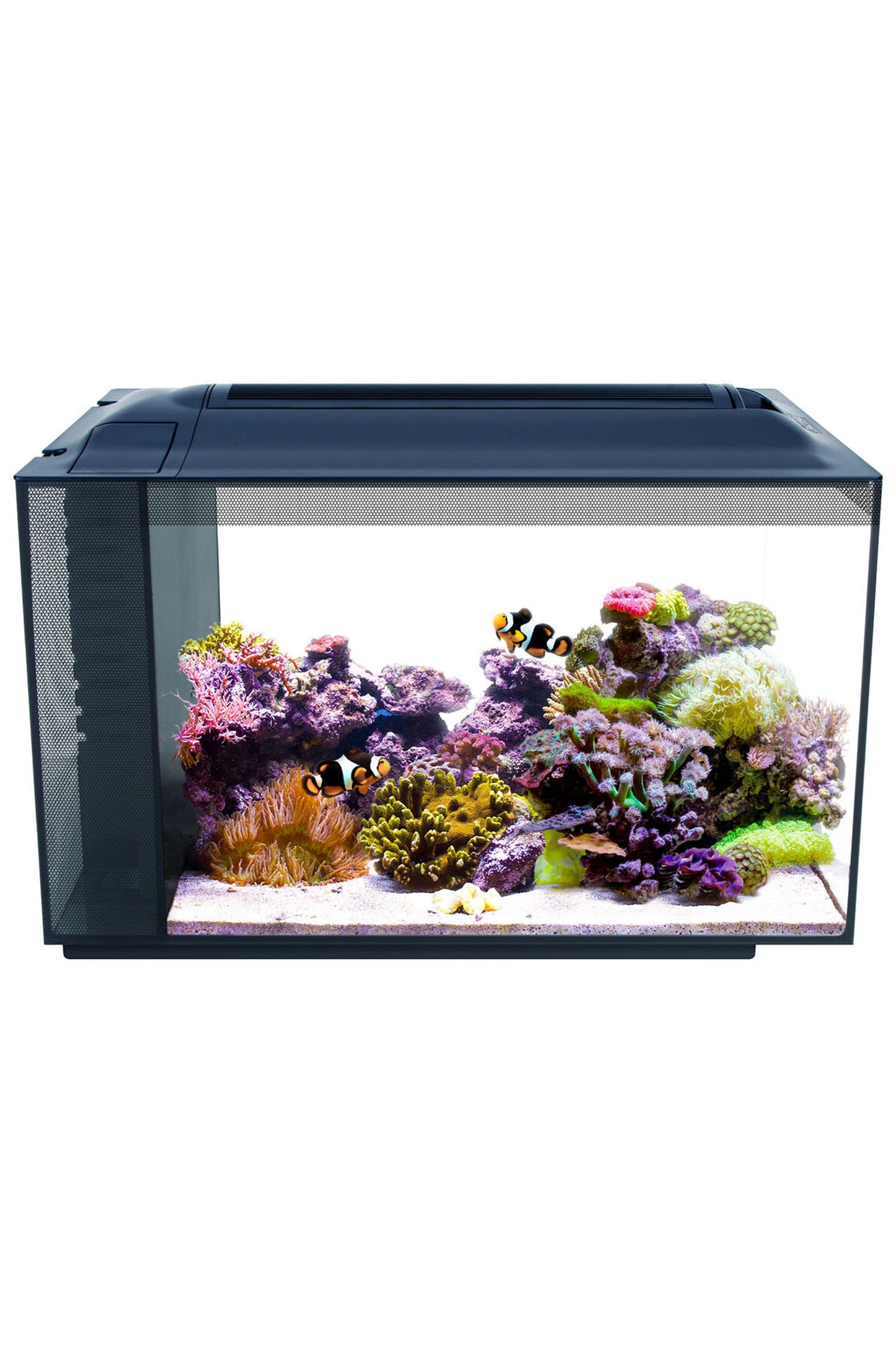 Fluval - Aquário Marinho Evo, Preto, 52L