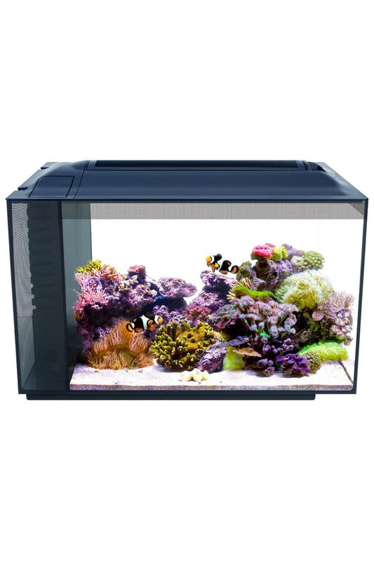 Fluval - Evo Marine Aquarium, Schwarz, 52L