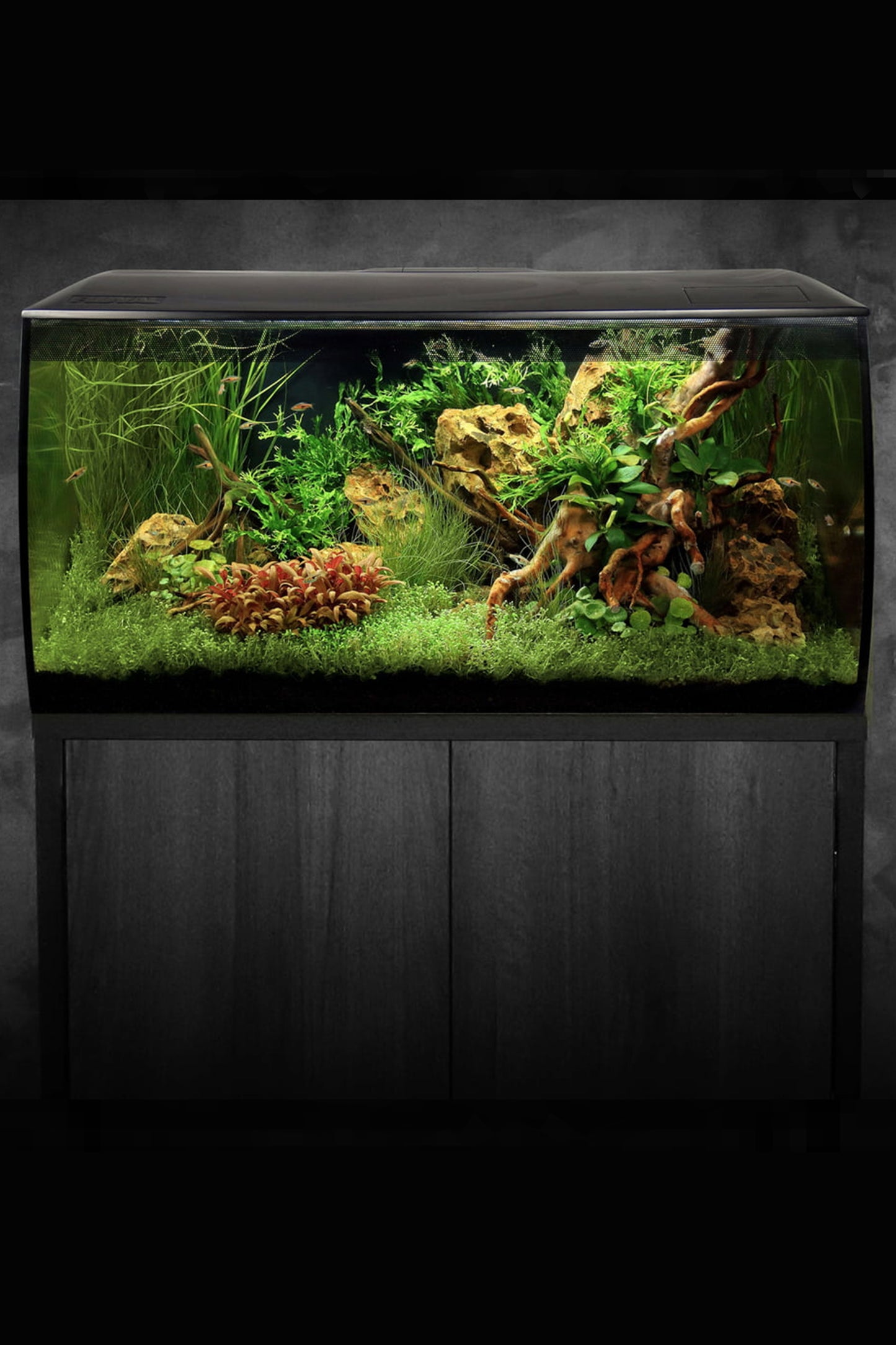 Acuario Kit FLUVAL FLEX de Negro de 123 litros