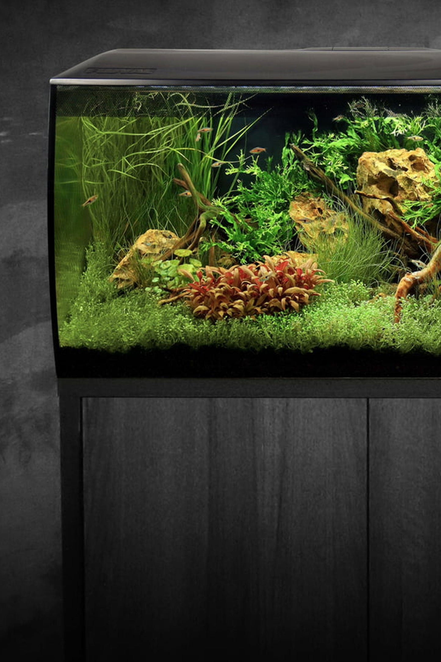 Acuario Kit FLUVAL FLEX de Negro de 123 litros