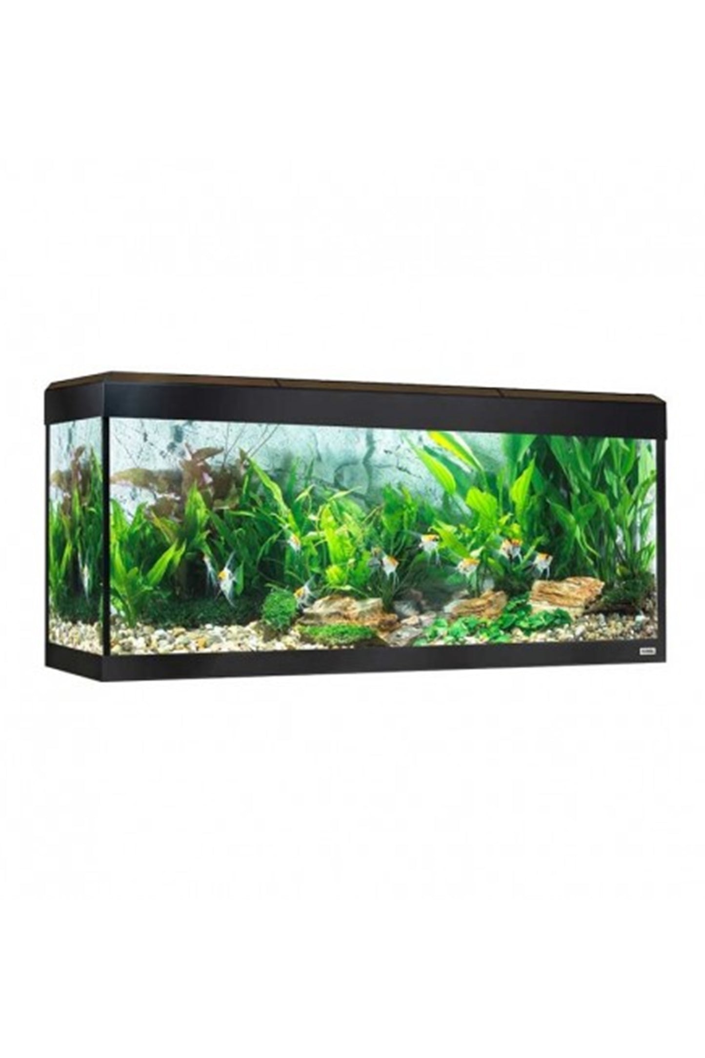 Acuario Roma LED Bluetooth 240 litros - Nogal