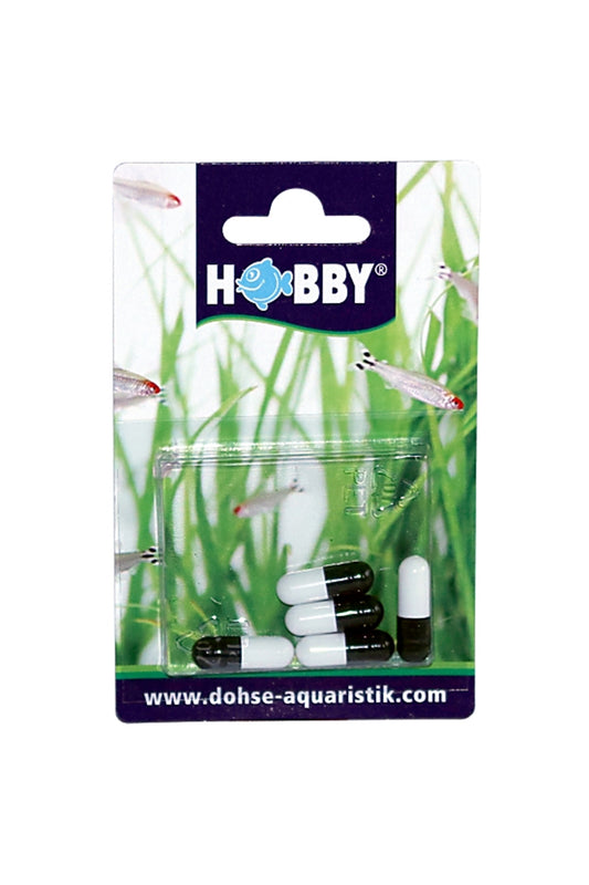 Hobby Dupla - 61346 Planaria Isca Especial 5 unidades