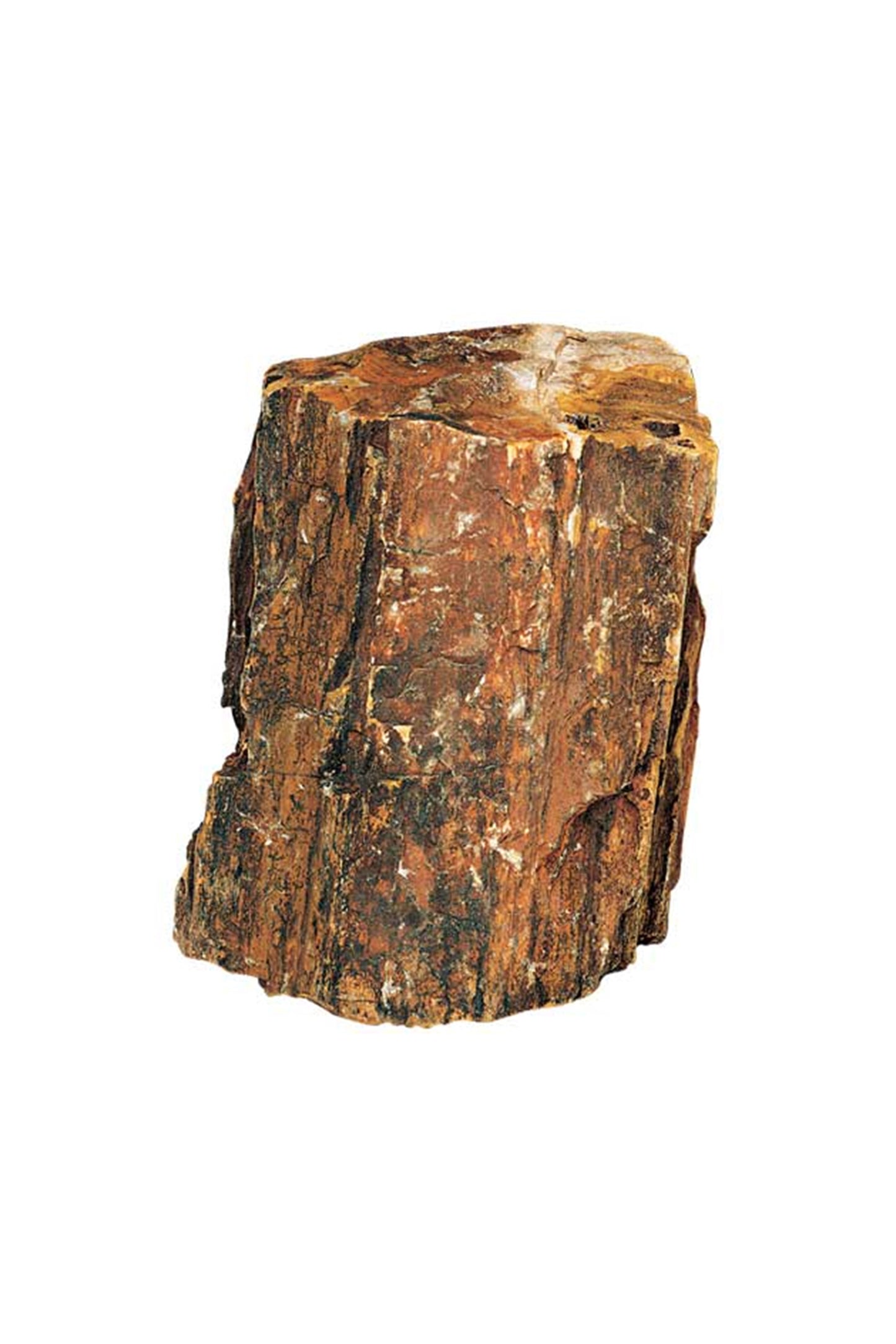 Hobby Dupla - 40686 Petrified Wood S, 0,3-1,0 kg Aprox/Piez