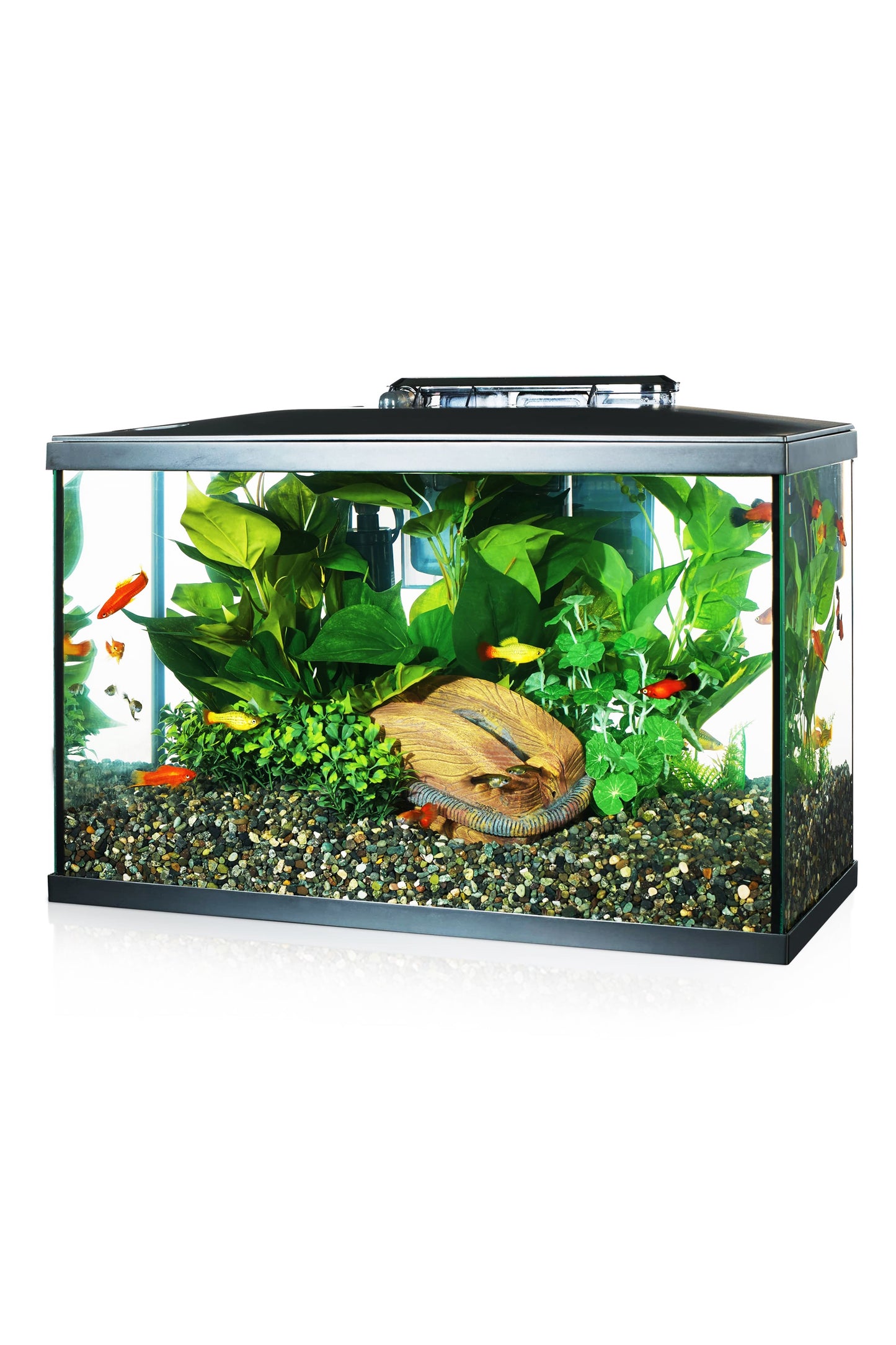 Marina - Led Aquarium Kit 5G, 20L