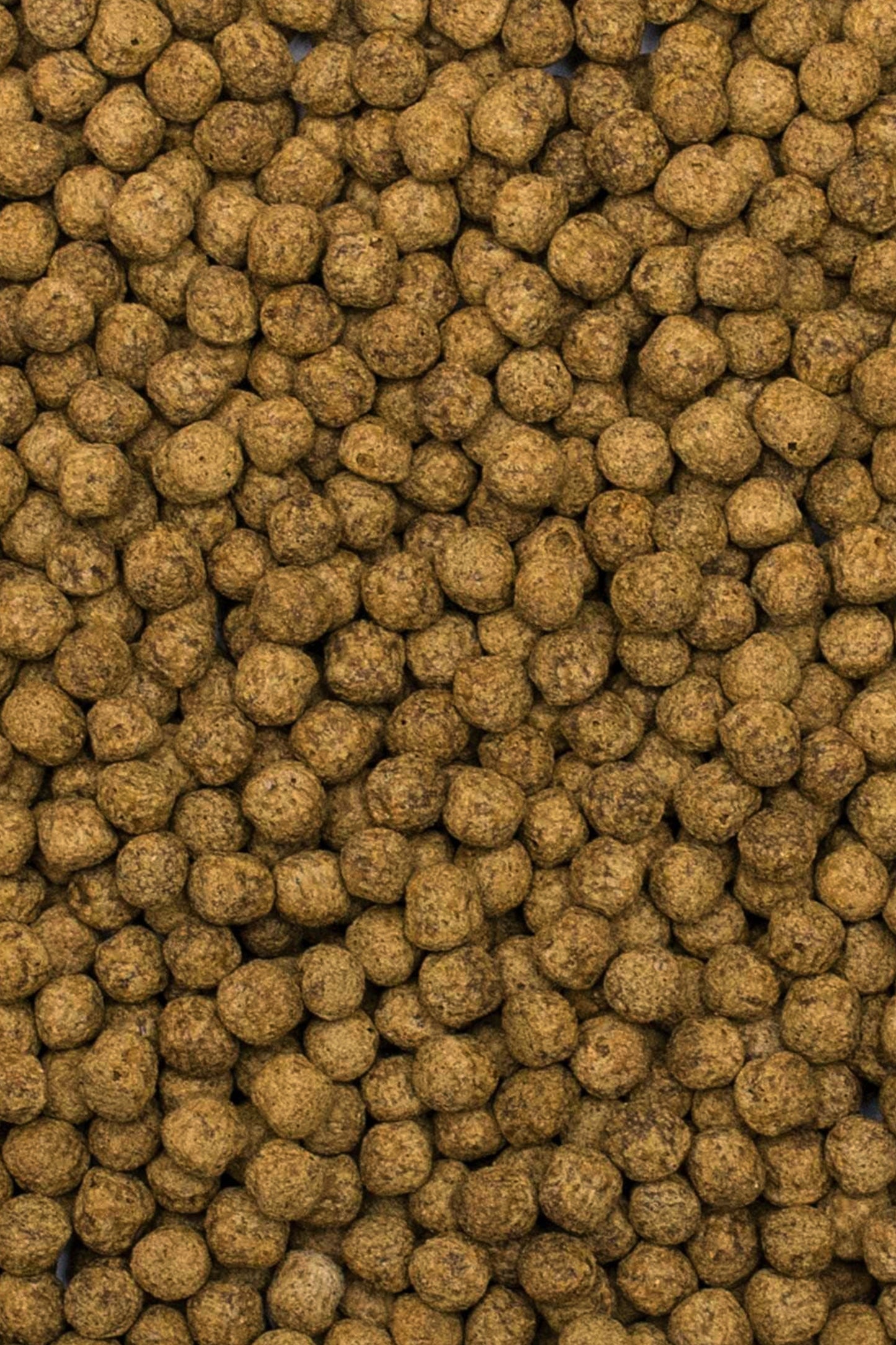 Tropical - Probiotische Pellets für Koi, Größe L, 7 kg