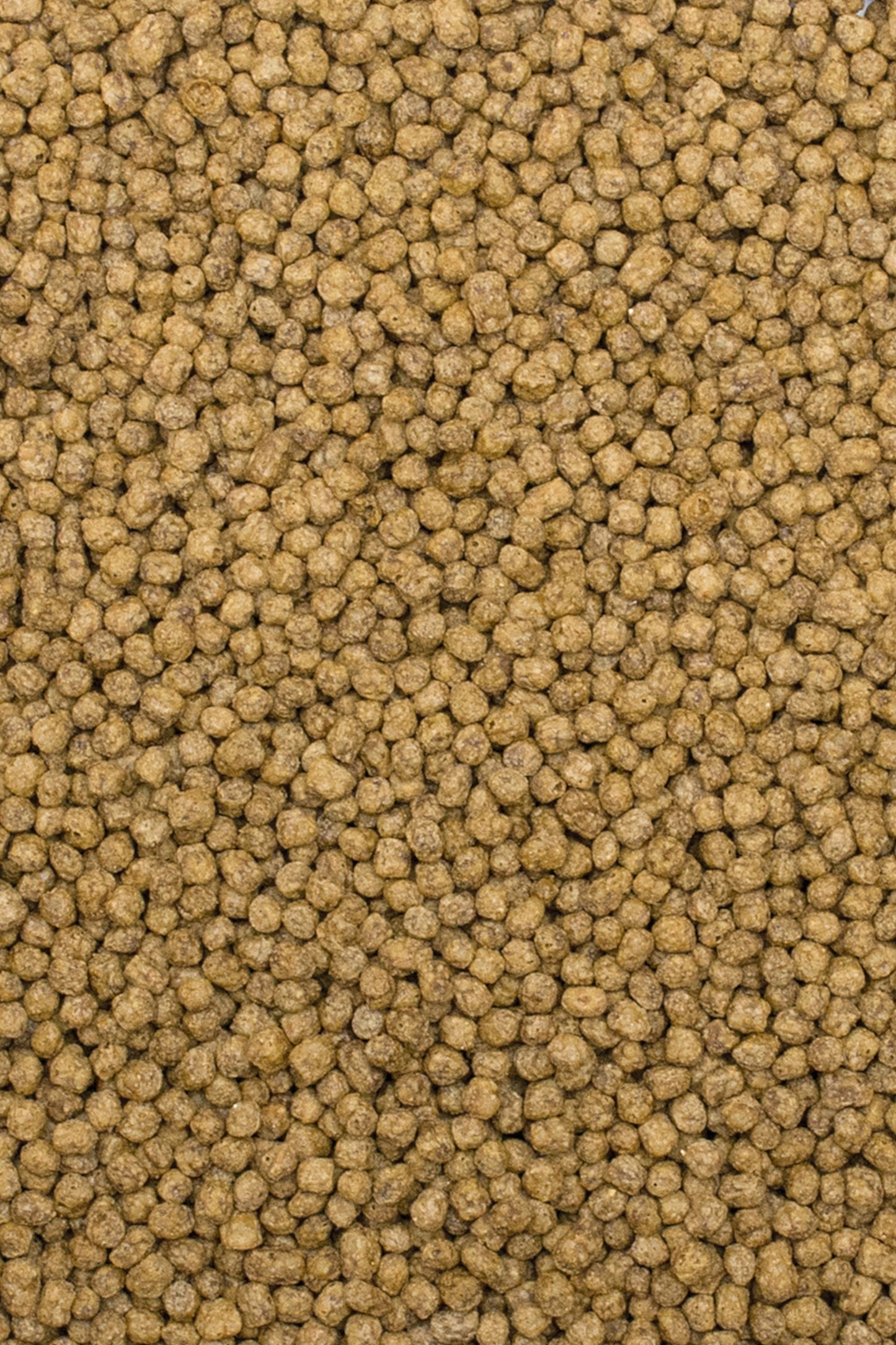 Tropical - Koi Silkwor & Astaxant Pell S 1000ml./320G