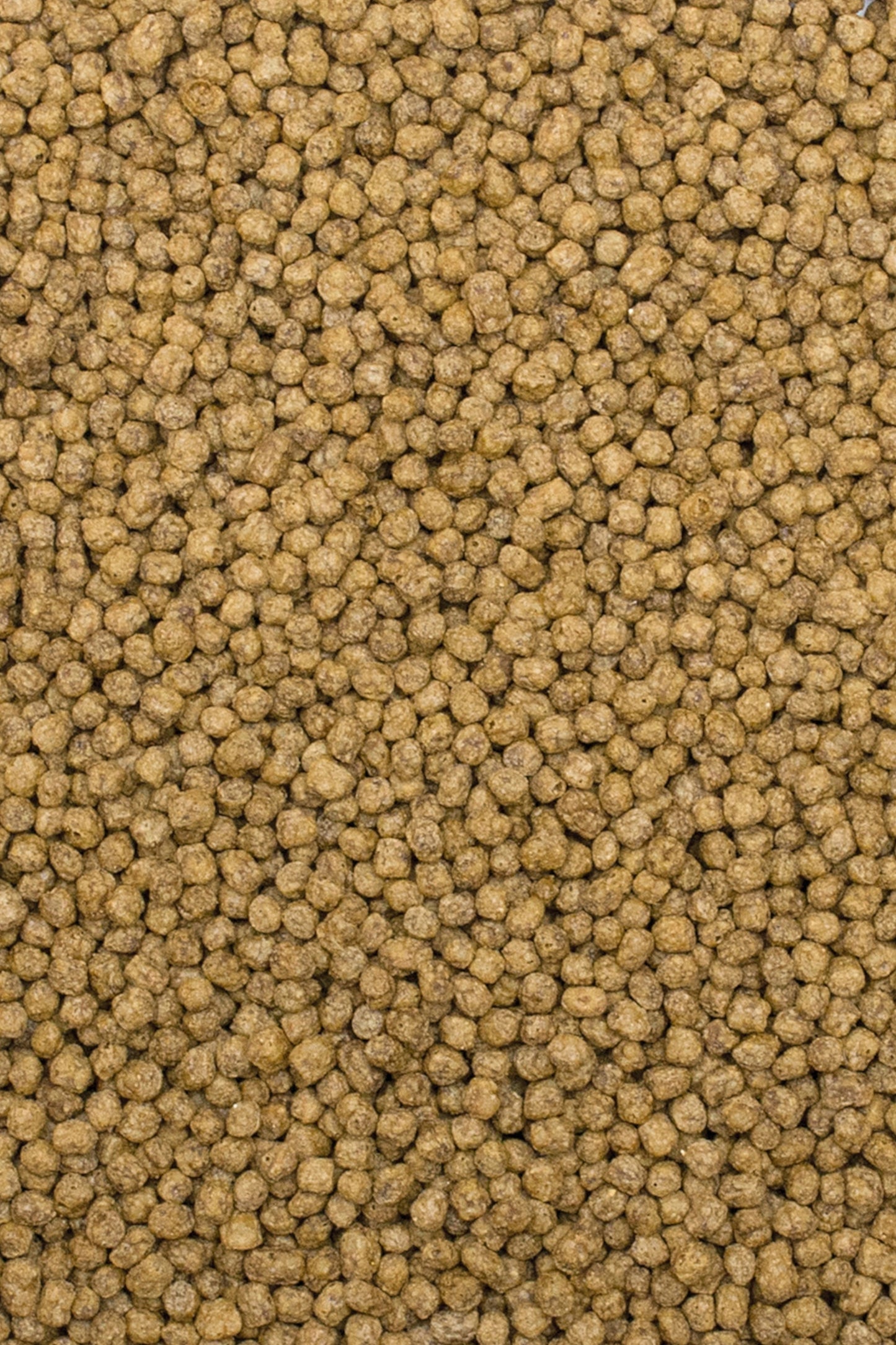 Tropical – Koi-Seidenraupen- und Astaxanthin-Pellet S 5 l/1,5 kg