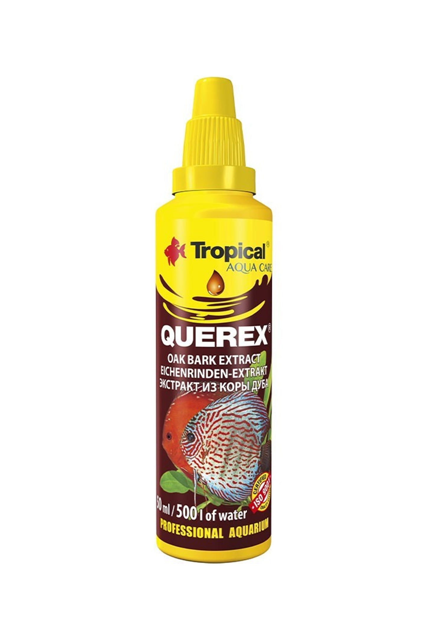 173485-querex-tropical-50ml