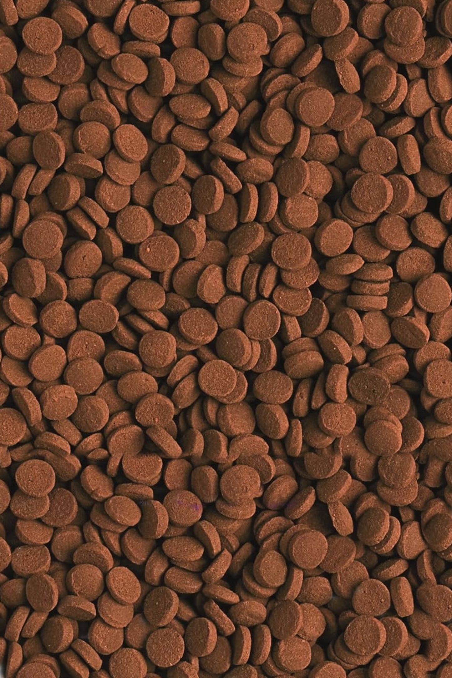 Tropical - Carnivoros De Fondo 5 L