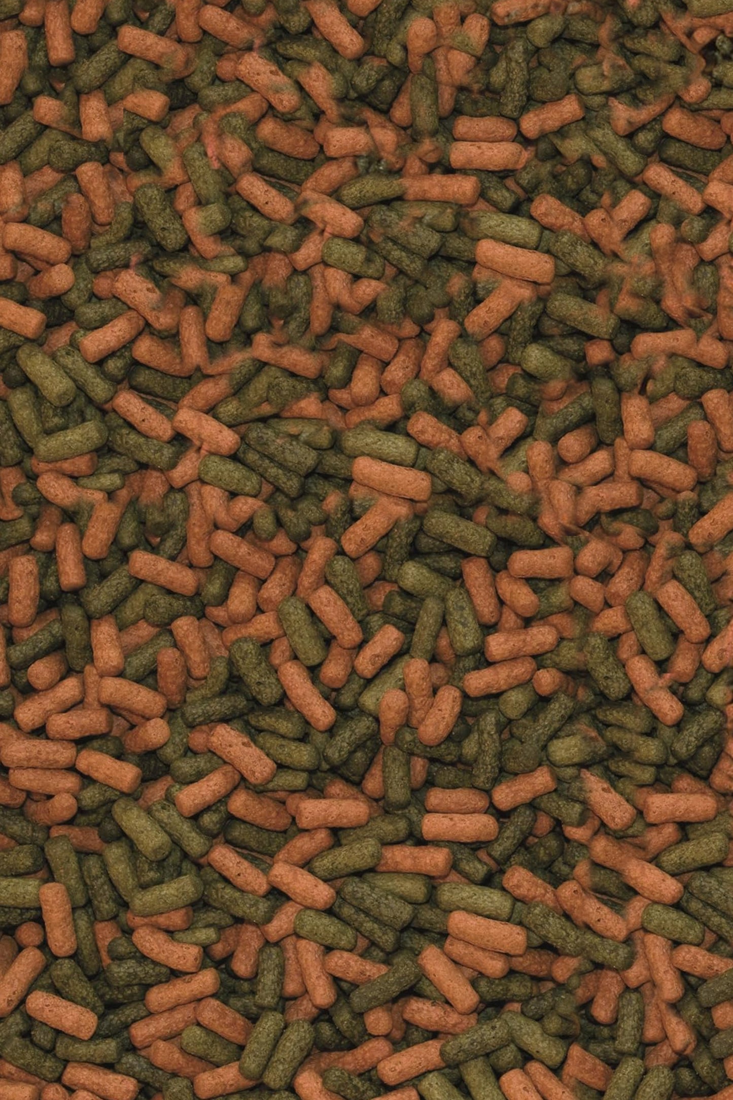 Tropical - Cichlid Red&Green L 10 L