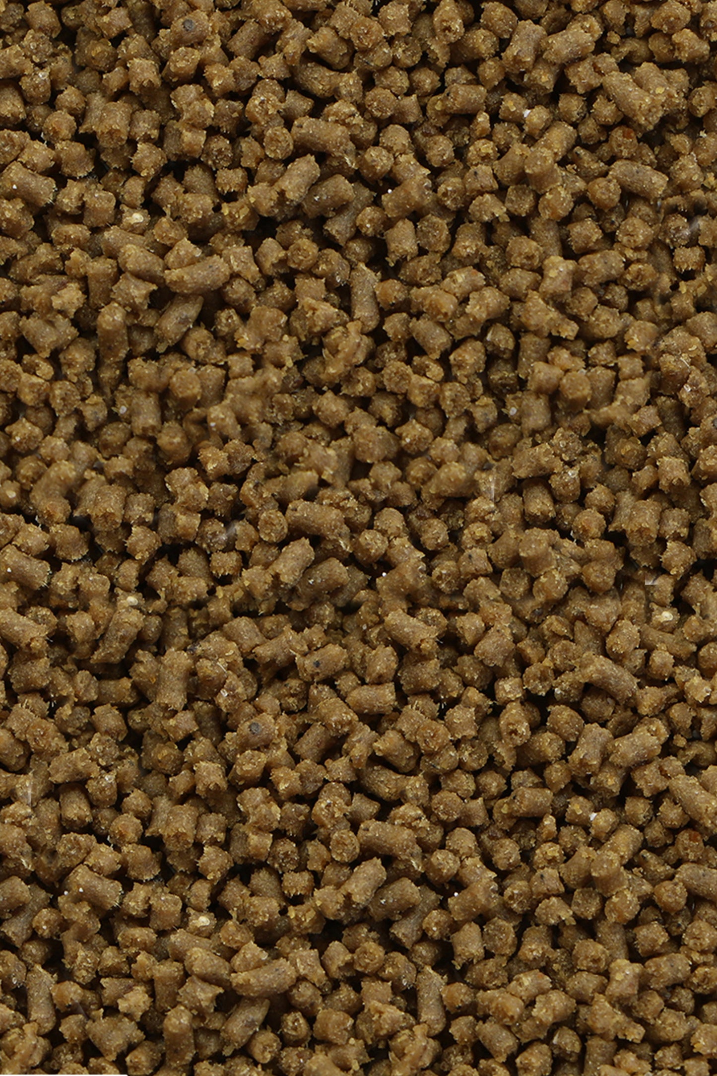 Vitalis - An00060 Anemonenpellet 60G