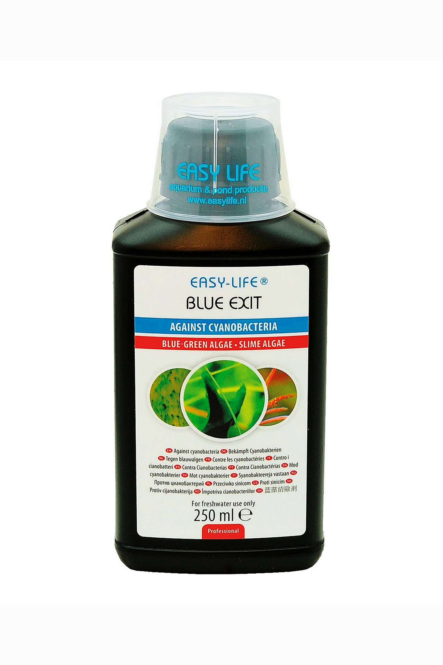 Tratamento contra cianobactérias: EasyLife Blue Exit Antialgas (250 ml)