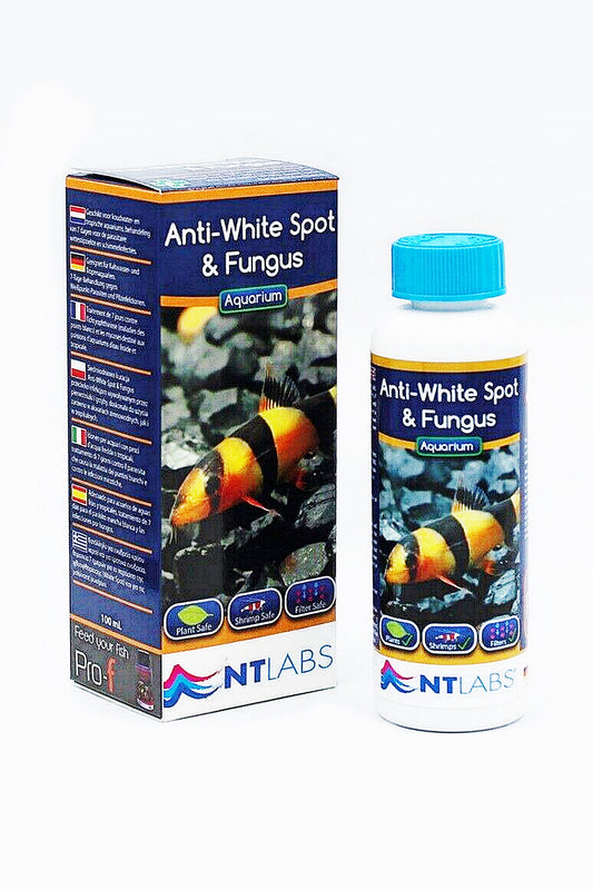 Mittel gegen weiße Flecken und Pilze: Anti White Spot &amp; Fungus von NTLABS (100 ml)